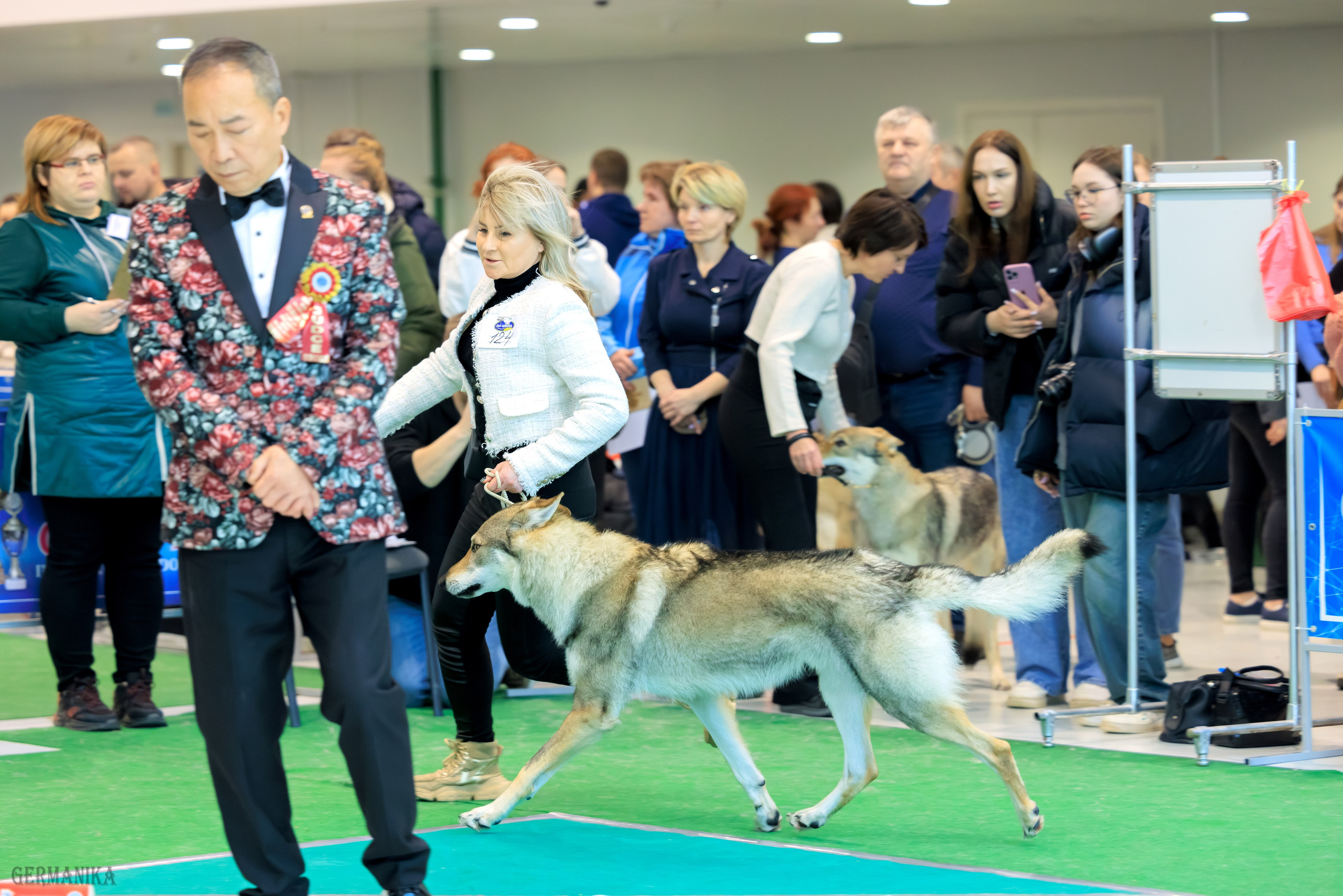 Минск 24-25.02.2024. Фотограф-анималист Юлия Германика