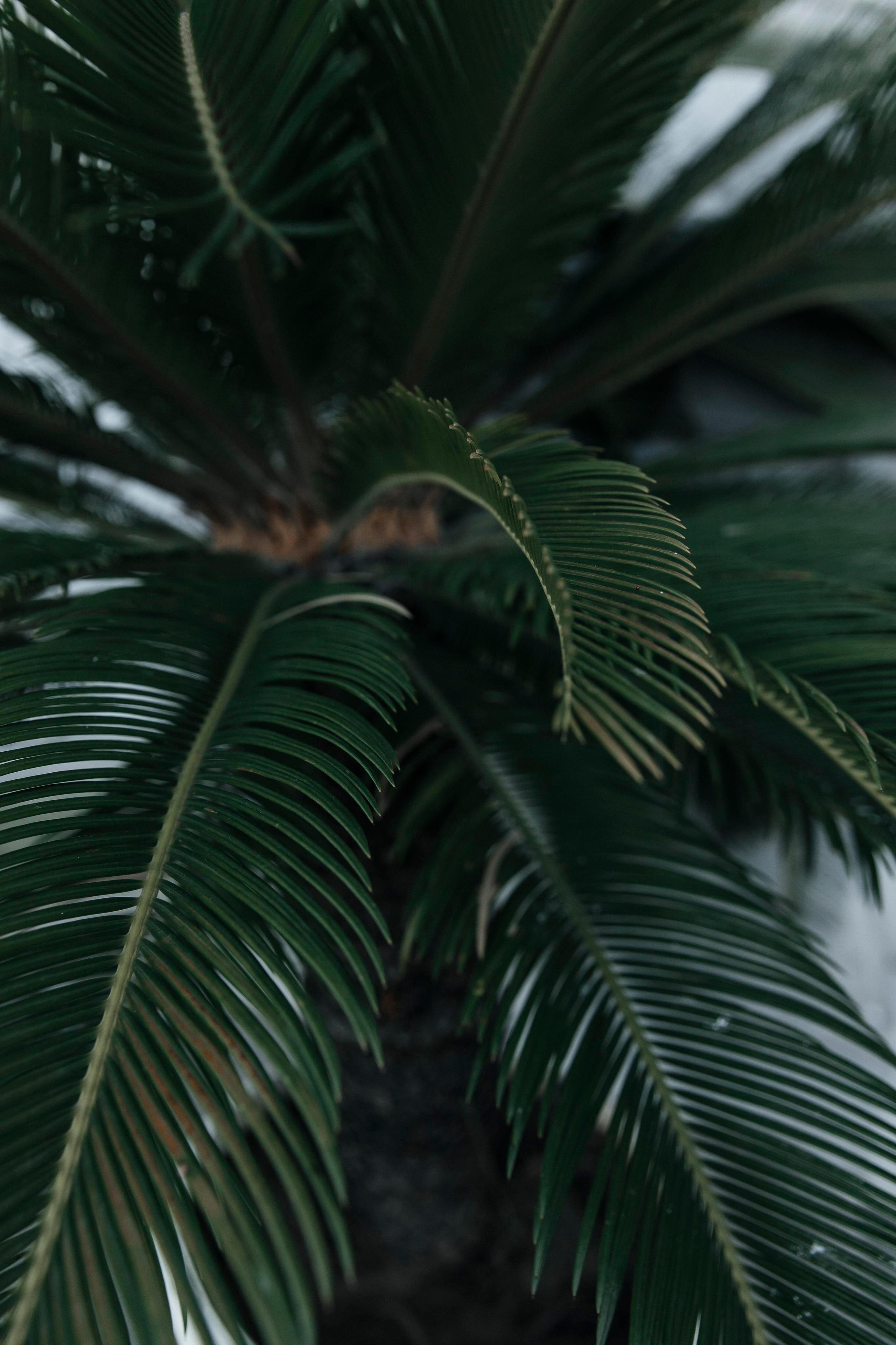 Екатерина и Дмитрий. 22.10.21. Свадебный и семейный фотограф в Севастополе и в Крыму Анастасия Корчак