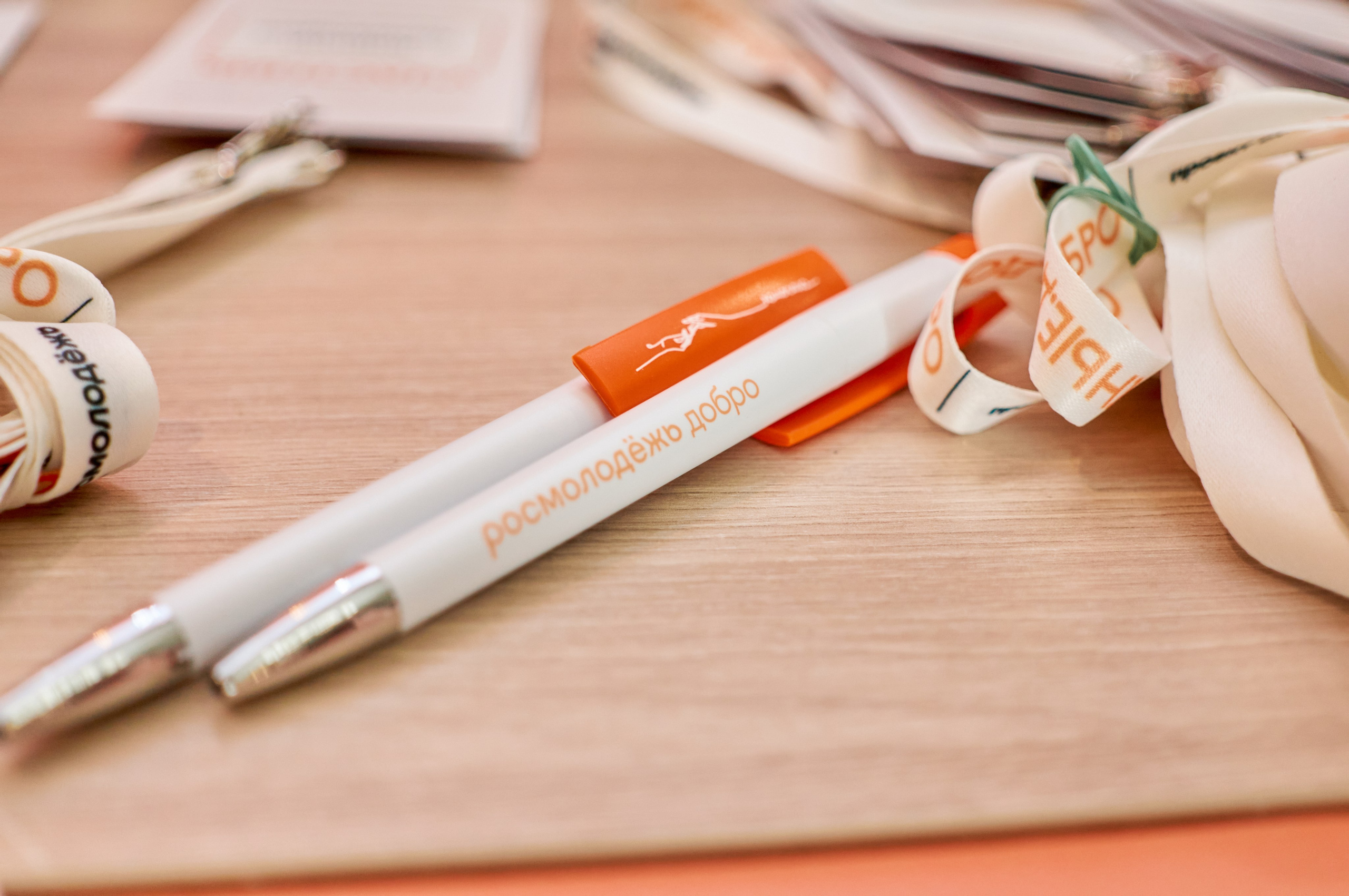 Окружной форум добровольцев СФО и ДФО. Фотограф | Кнышева Валерия | Санкт-Петербург