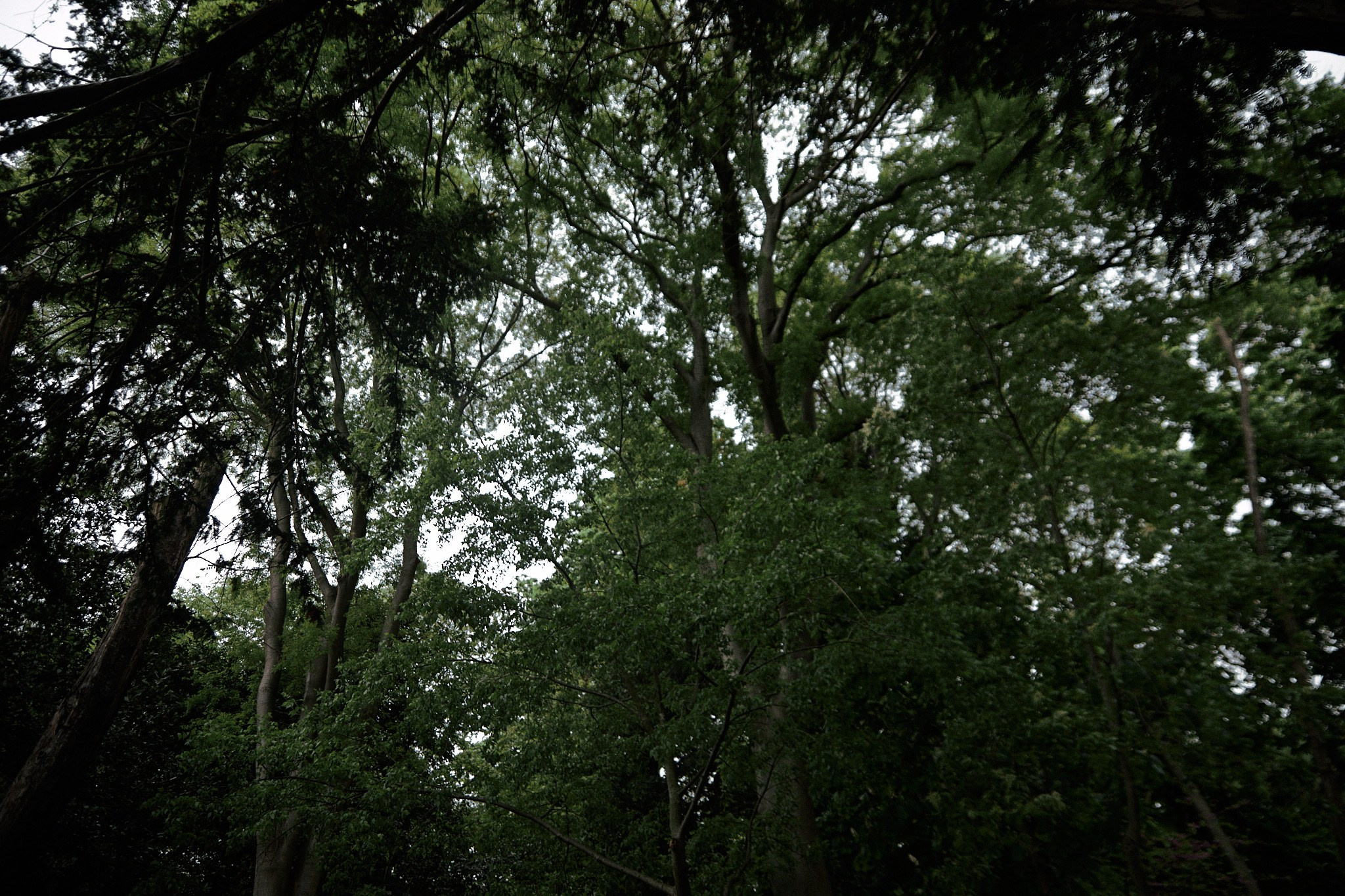 Улица горизонтальная. Jorgis — фотограф в Хургаде / обучение фотографии