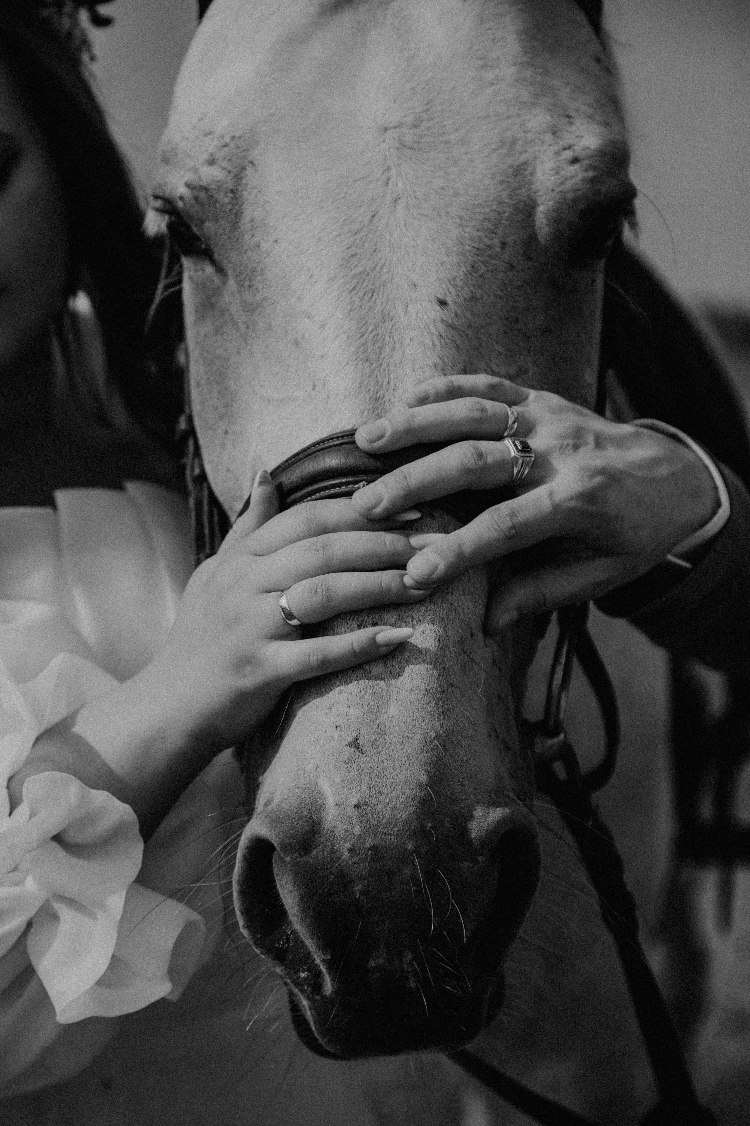 Свадьбы. Семейный фотограф Абулгазина Катерина