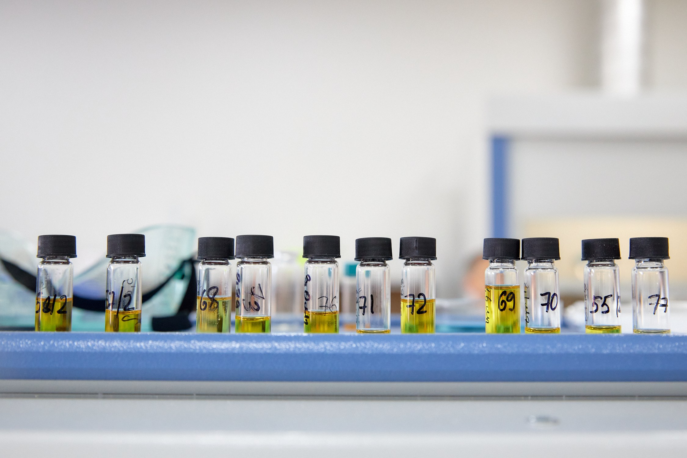 Приоритет 2030. Репортажный фотограф Владивосток Анастасия Сокольникова