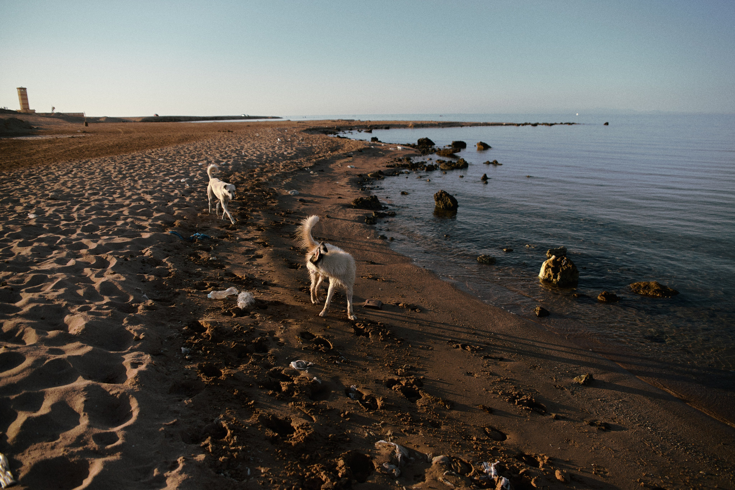 Улица горизонтальная. Jorgis — фотограф в Хургаде / обучение фотографии