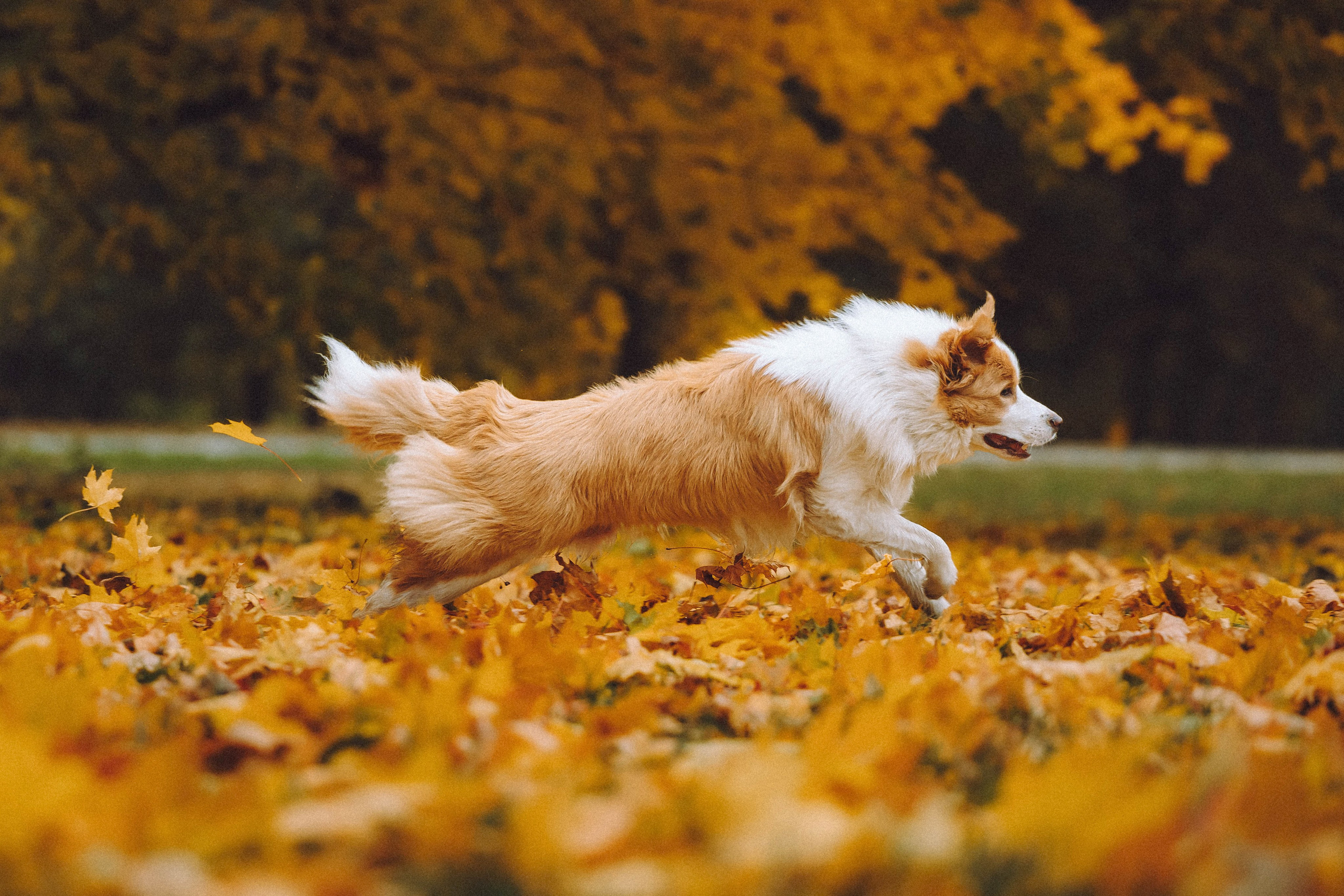 Алина, Витя и Асти