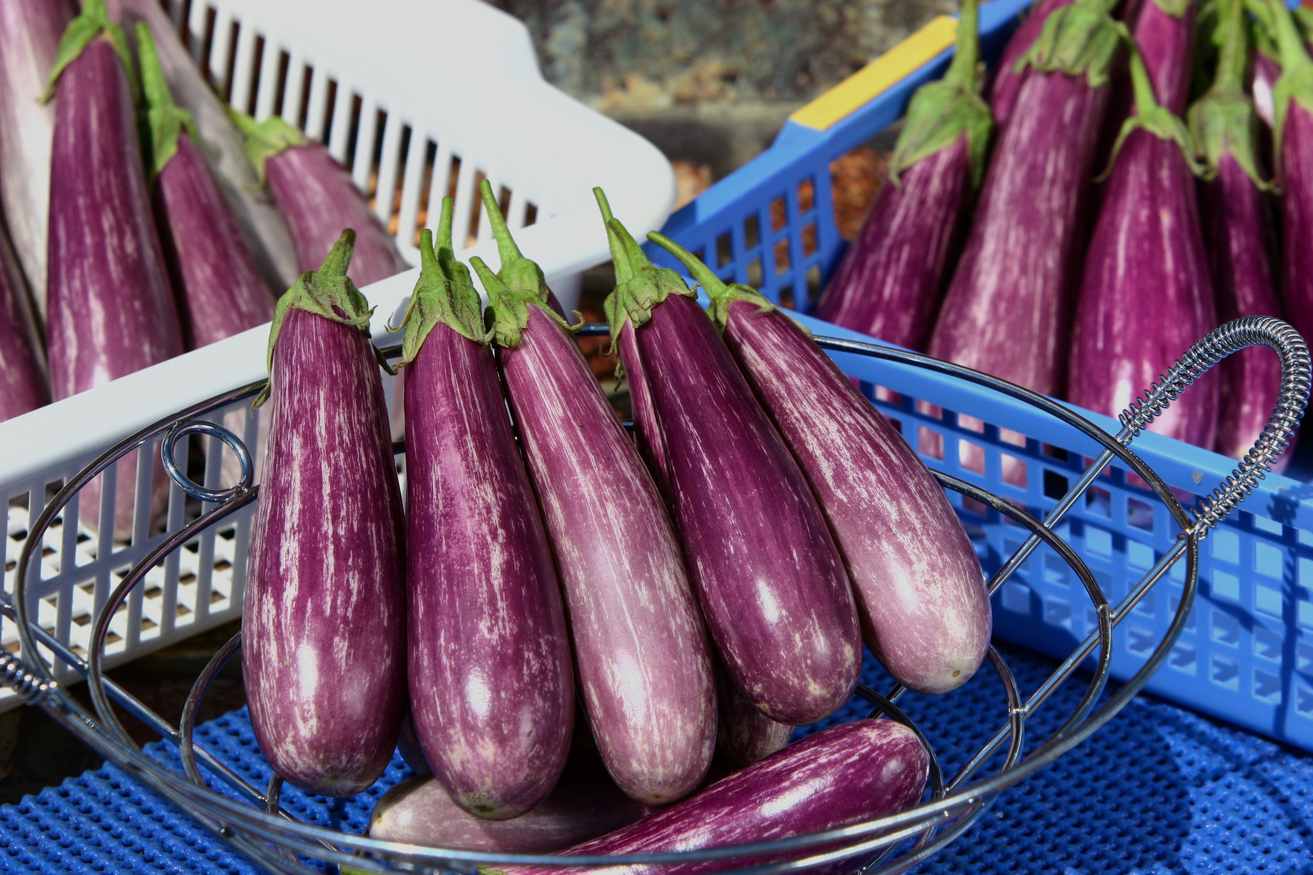 Product photography. The Website of the Photographer Vitaly Deni