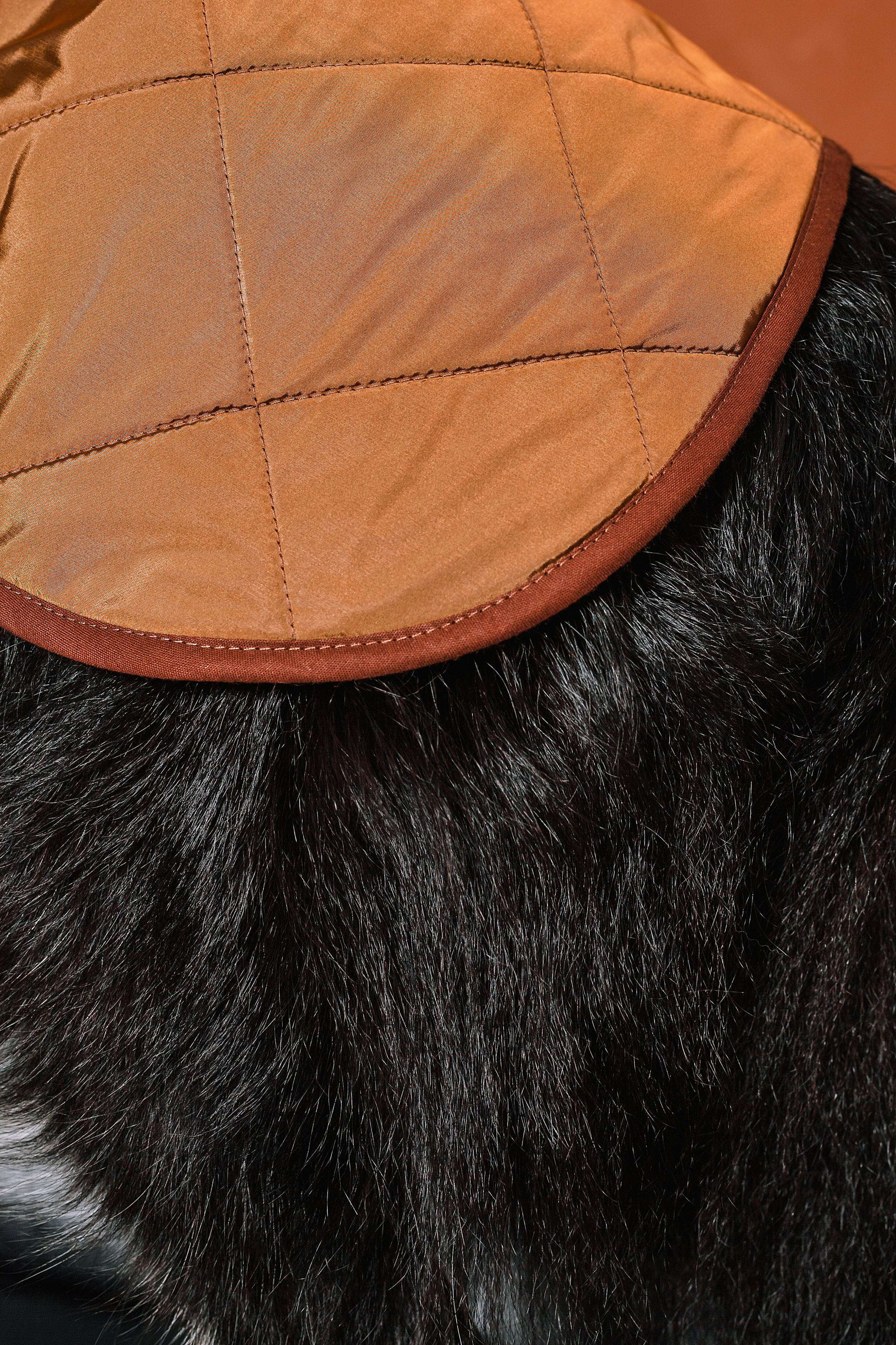 Съемка для бренда TEDDYBOY. Фотограф-анималист Татьяна Степанова