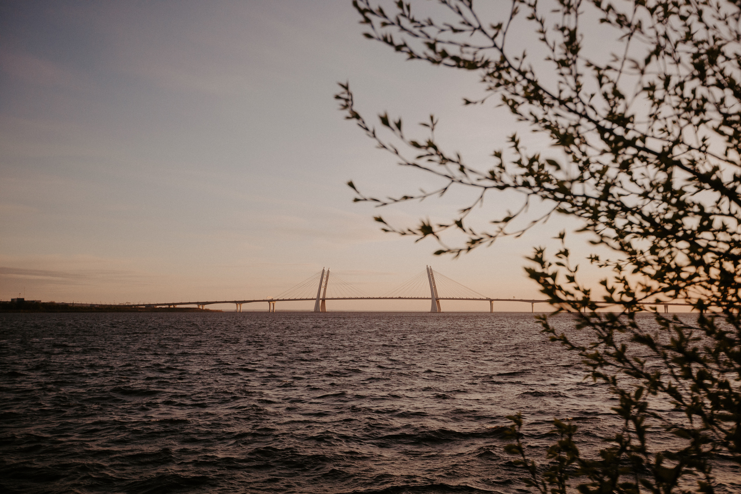 Sun in a glass. Свадебный фотограф Таня Караисаева