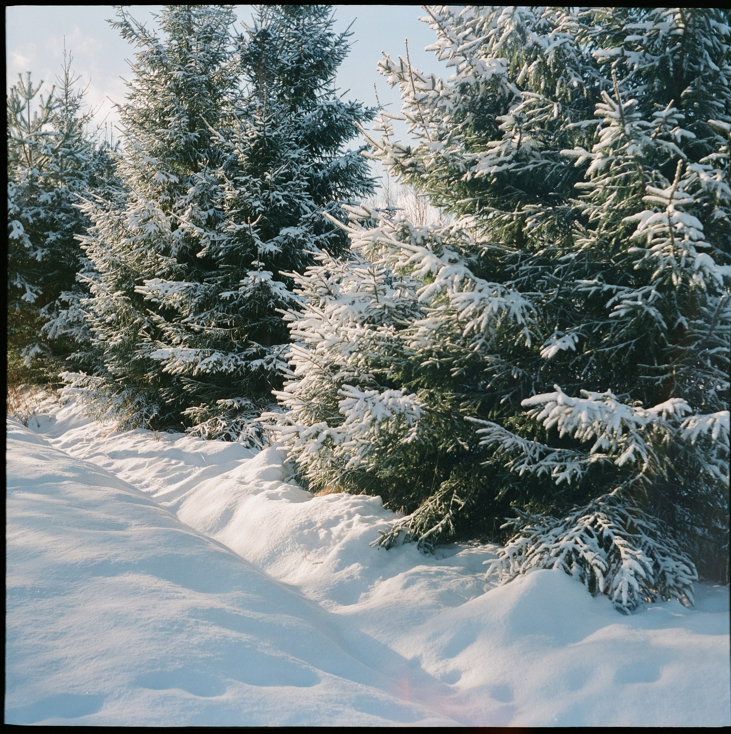 Super Fujica-6 примеры фотографий