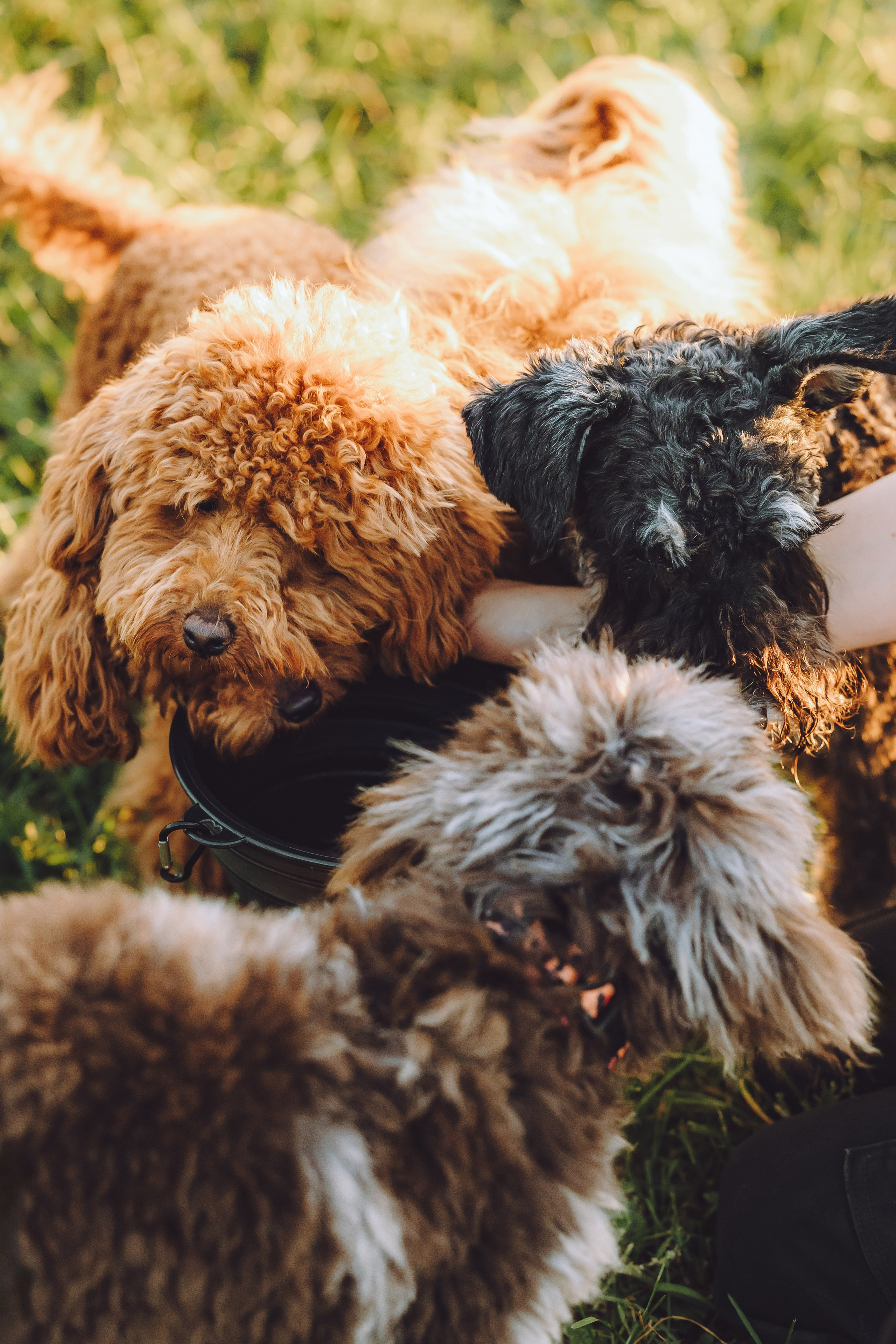 Кристина и все-все