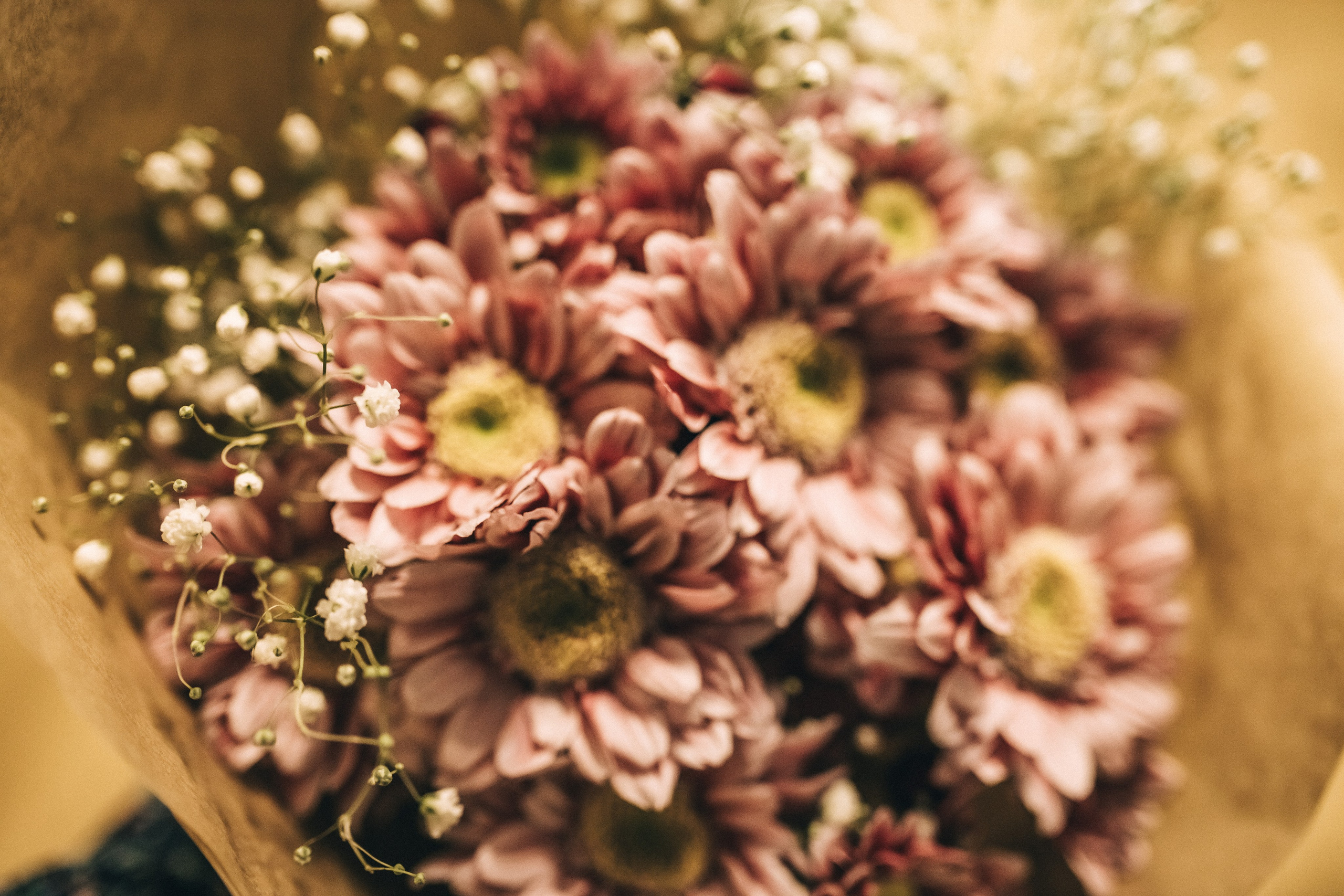 Маленькая история, большой любви. Сьемка в студии. Профессиональный фотограф, Москва |Видное Елена Елизарова