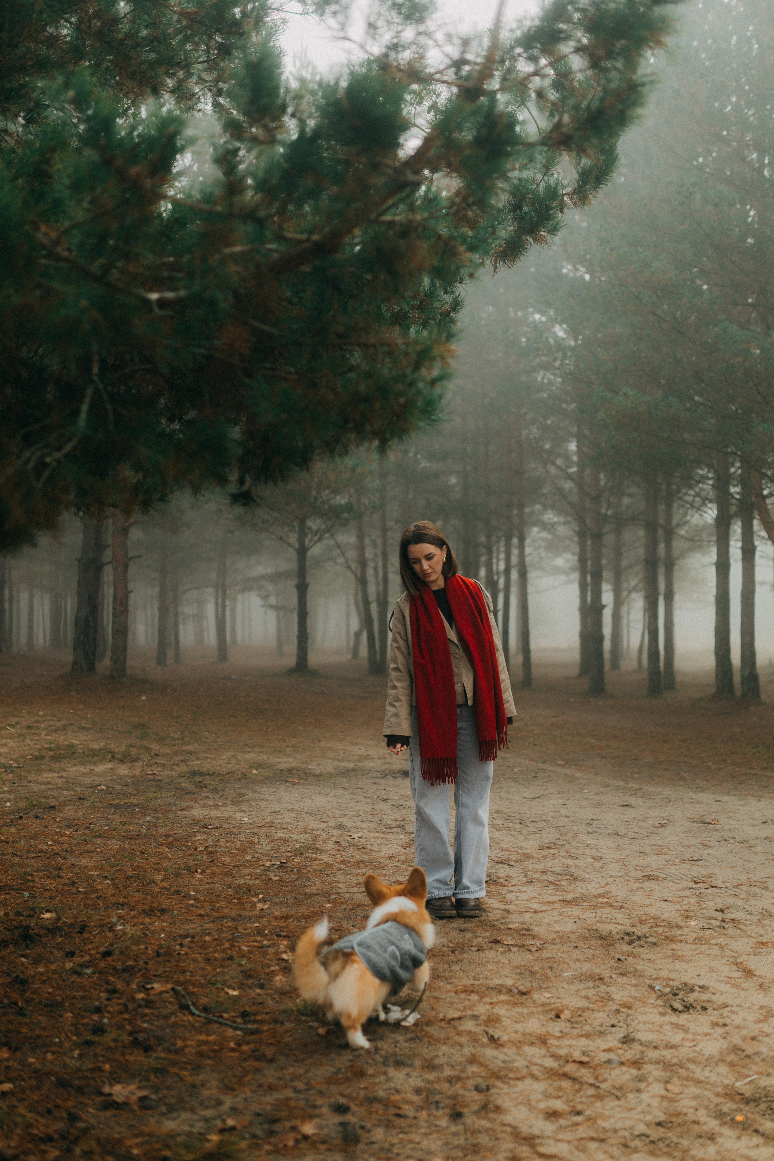 Алина. Фотограф НОГИНСК, Москва, Анастасия Белая