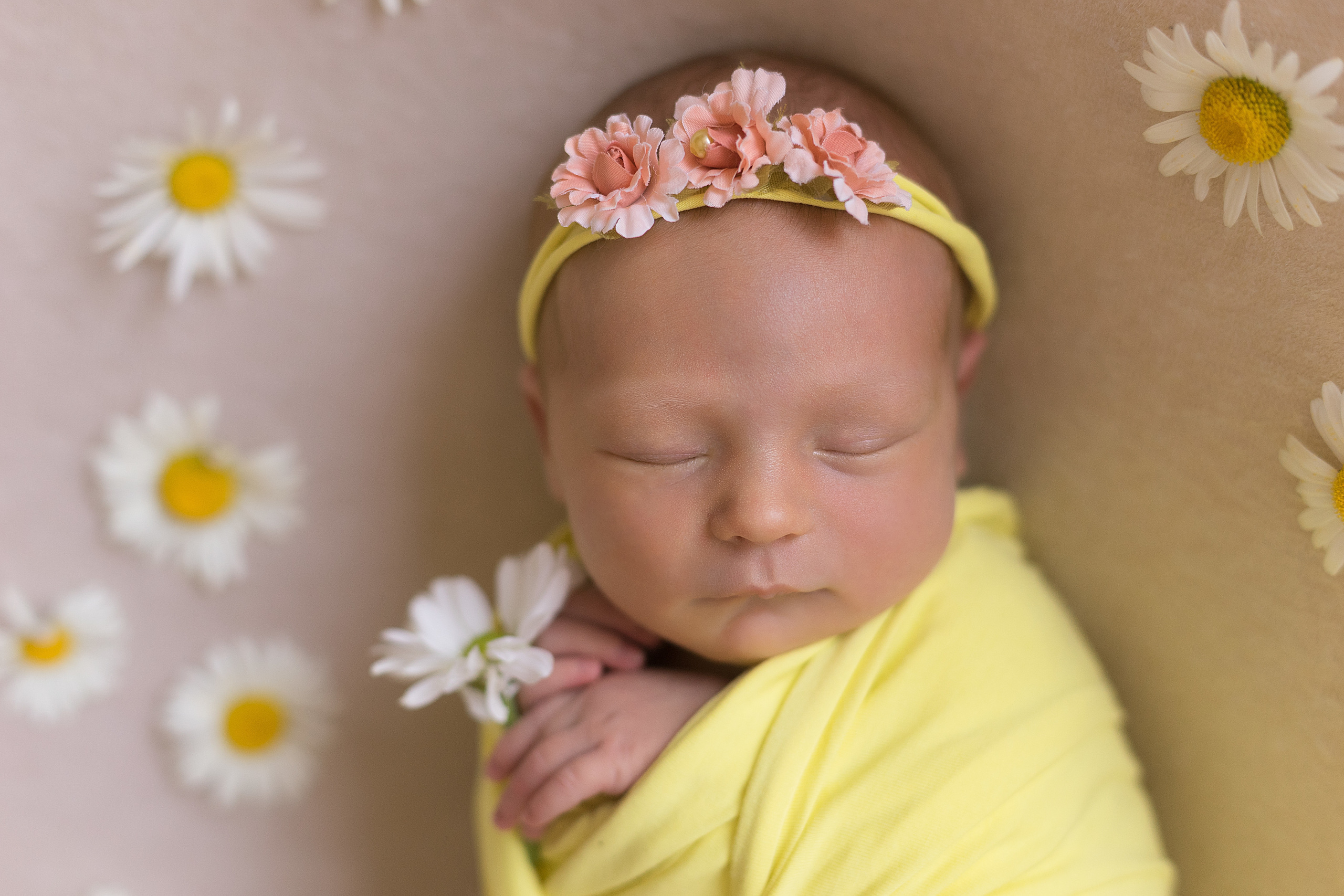 Новорожденные. Фотограф в Новосибирске