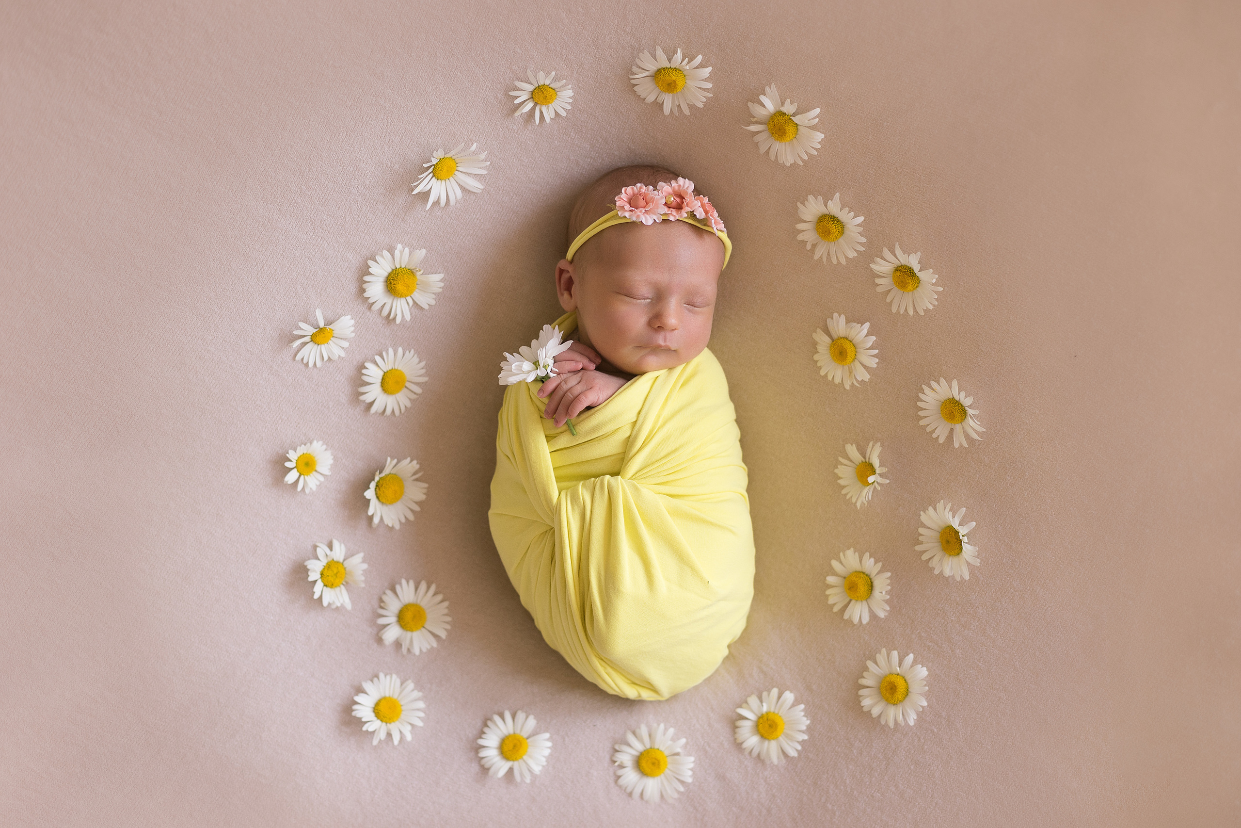 Новорожденные. Фотограф в Новосибирске