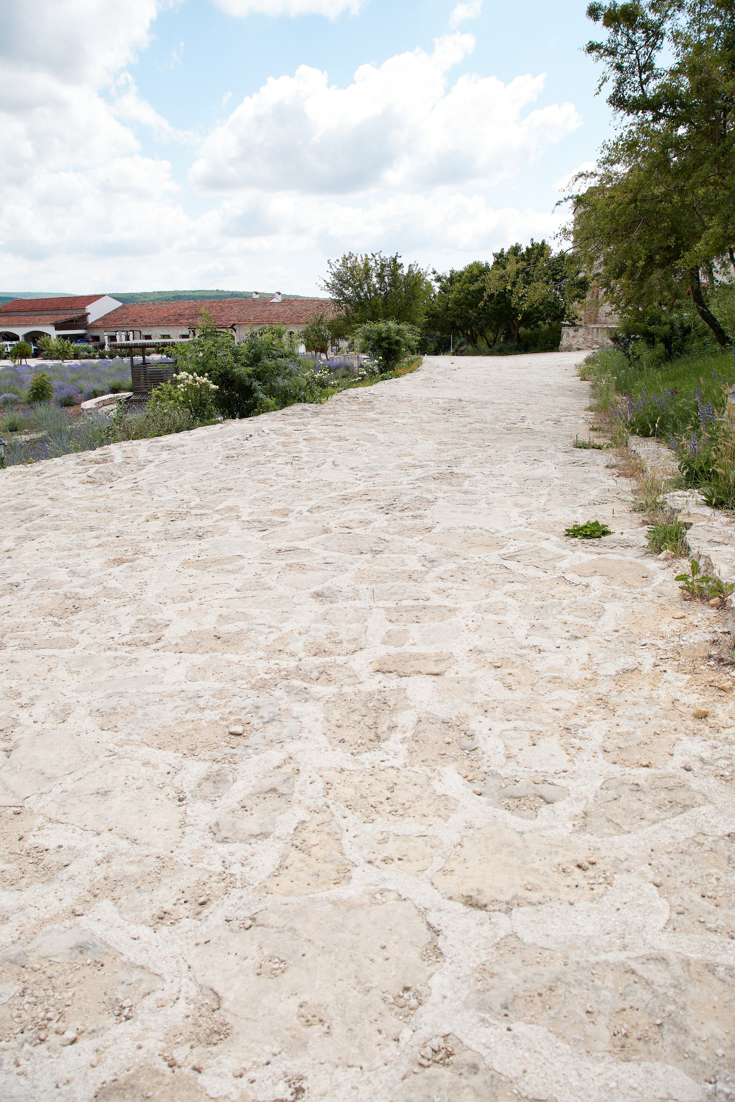 ОДНА ВИНОДЕЛЬНЯ. Репортажный и мужской фотограф в Краснодаре. Фотограф в Краснодаре