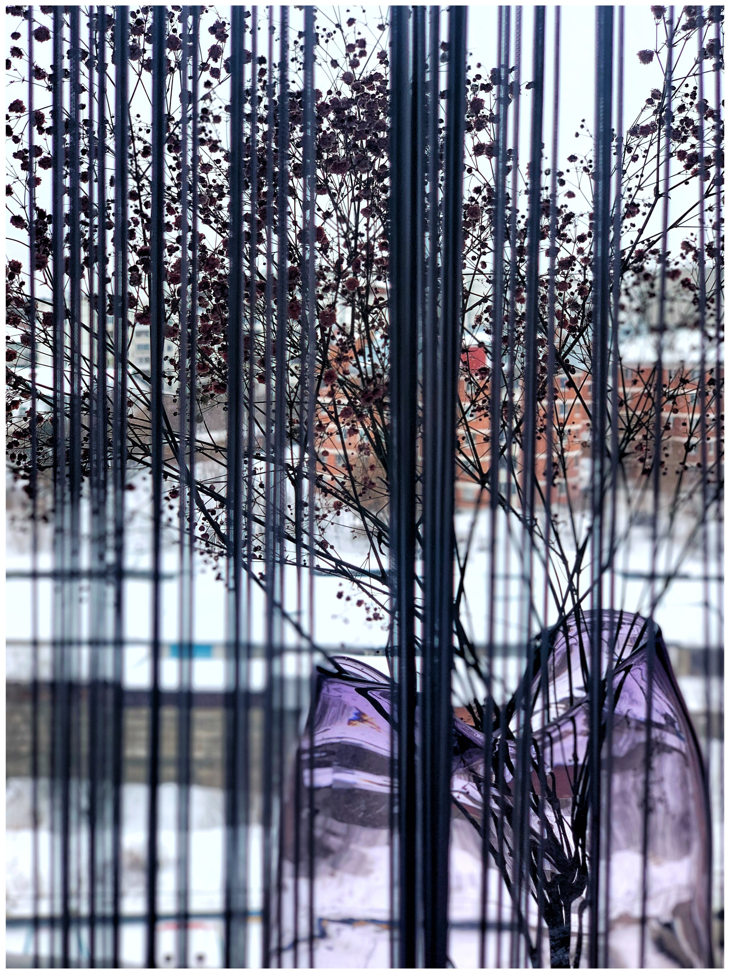 2021. Тащилин Сергей. Фотографии. Жизнь. Хобби