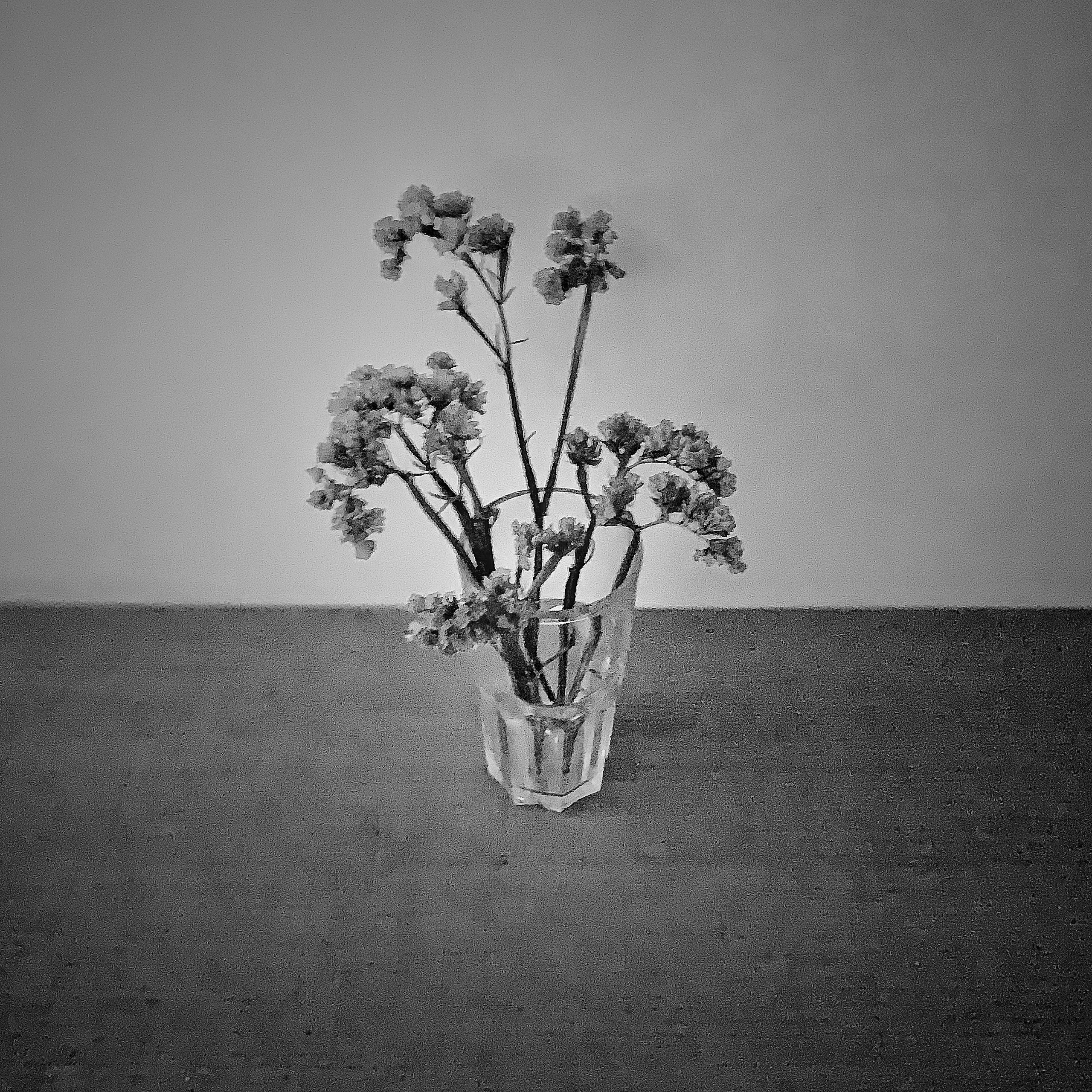 2020. Тащилин Сергей. Фотографии. Жизнь. Хобби