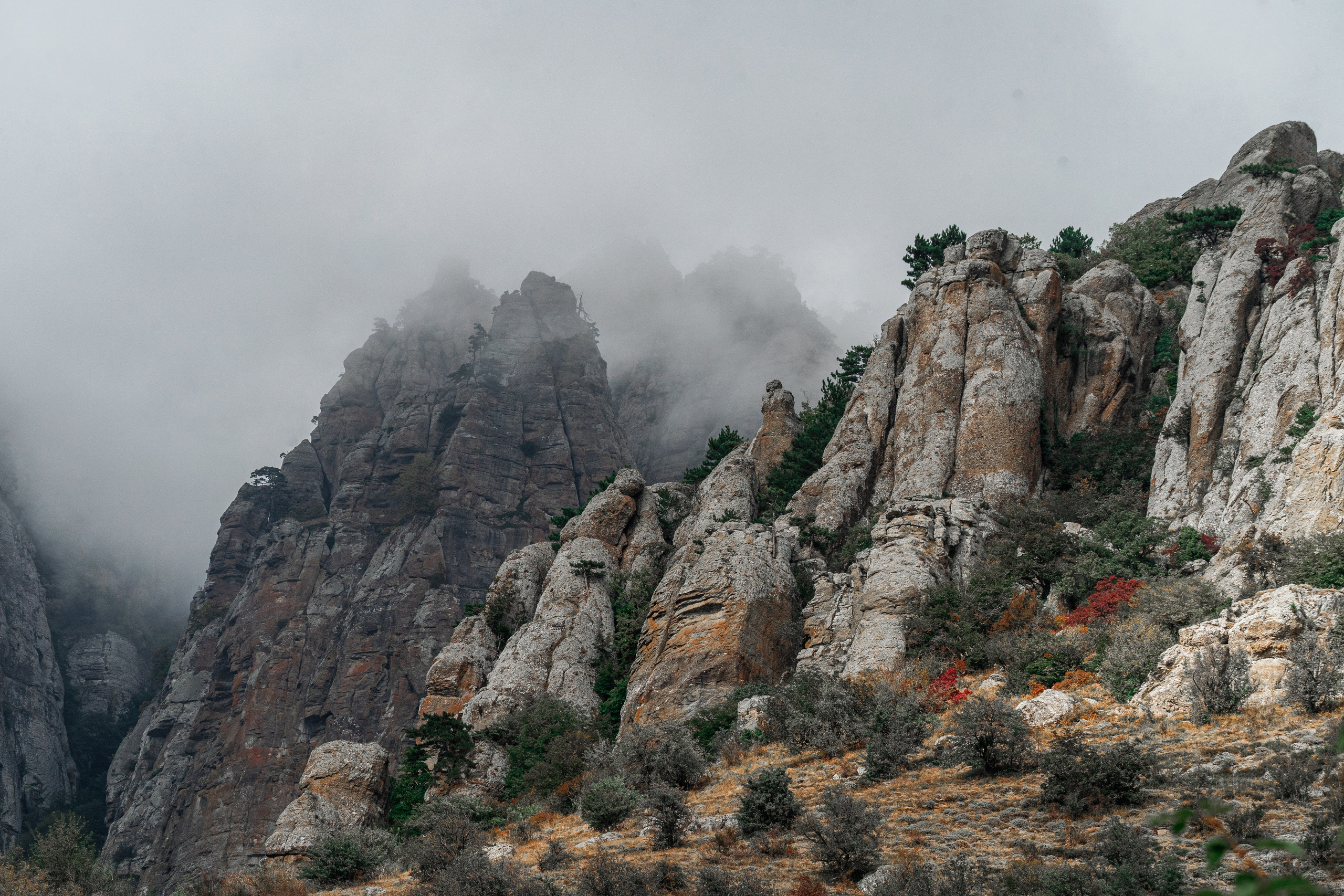 Путешествия и пейзаж. Репортажный фотограф в Красной Поляне и Сочи Павлюченко Екатерина