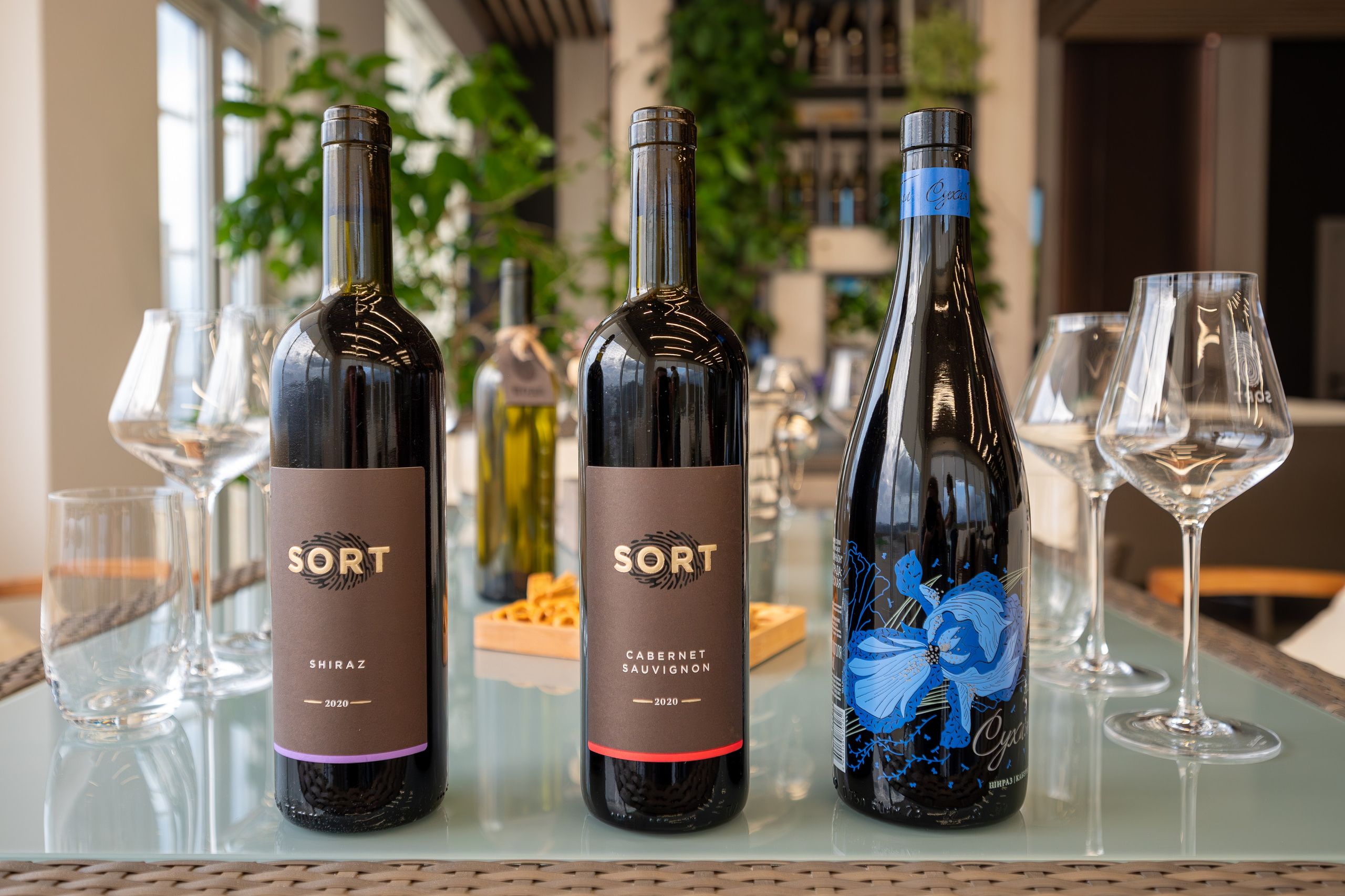 Литературная мастерская с Ольгой Шутовой в «Винотеррии». Репортажный фотограф в Красной Поляне и Сочи Павлюченко Екатерина