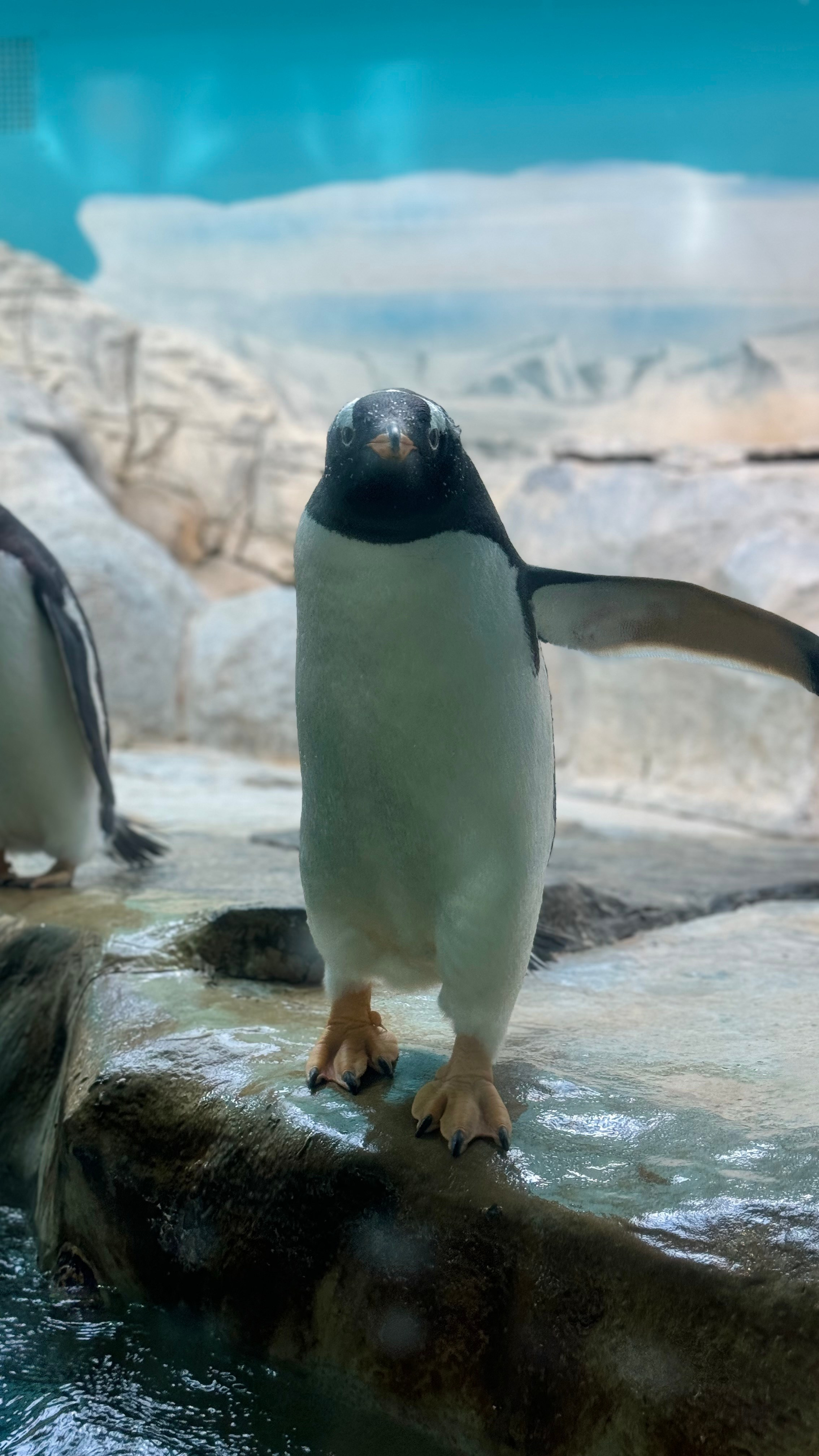 Приглашаем в арт-лагерь в Москве для детей!. Арт-вечеринки и мастер-классы в Москве для взрослых и детей