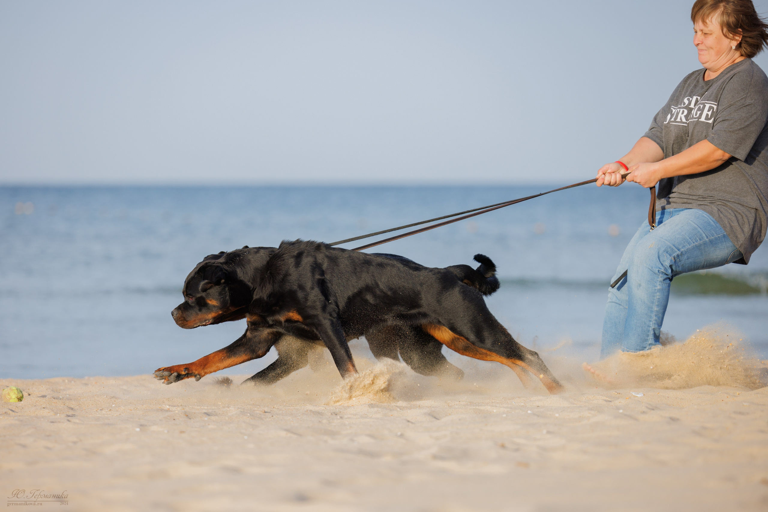 Свободная съемка. Фотограф-анималист Юлия Германика