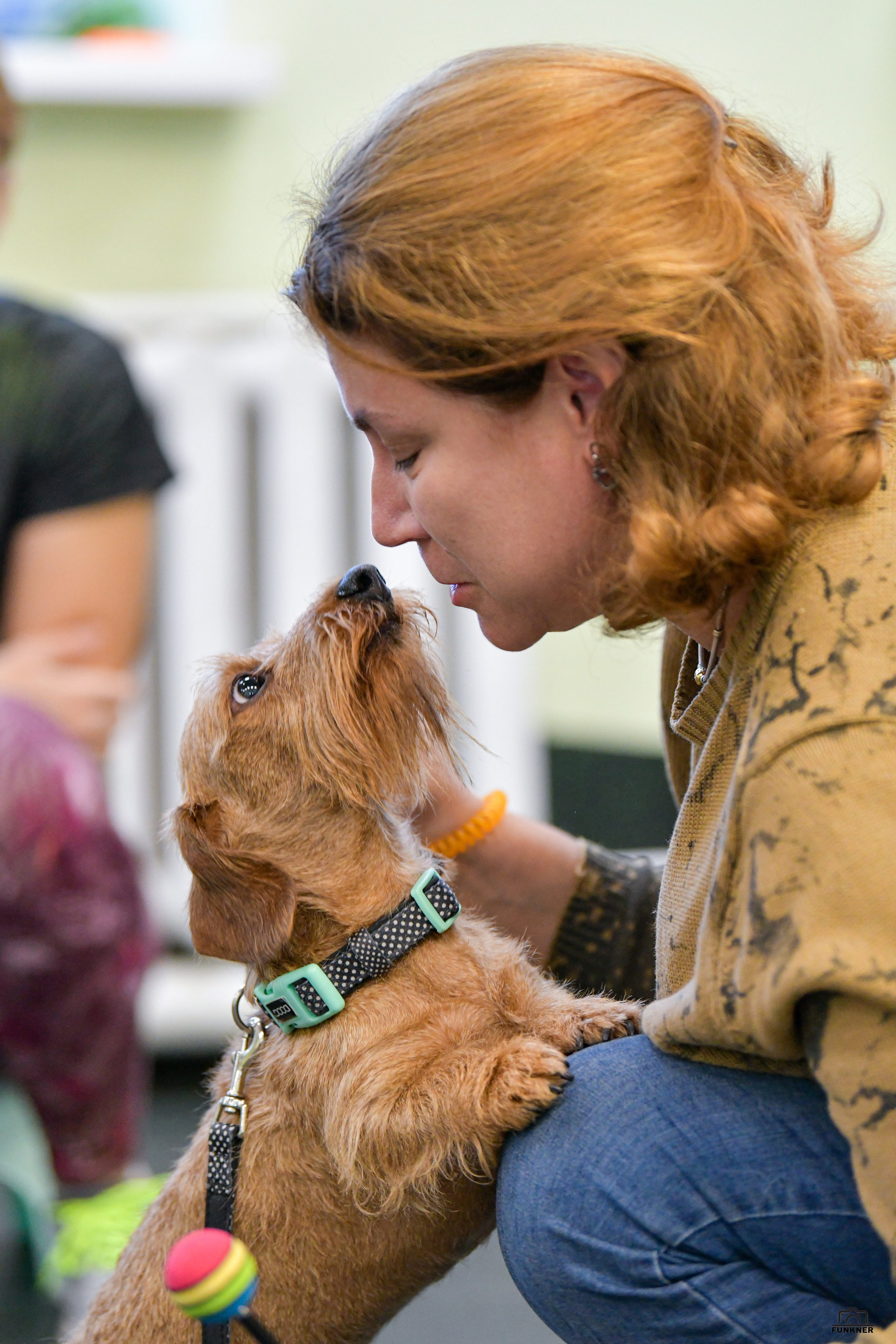 Кинологический клуб «Бодрый хвост». Свой взгляд через объектив