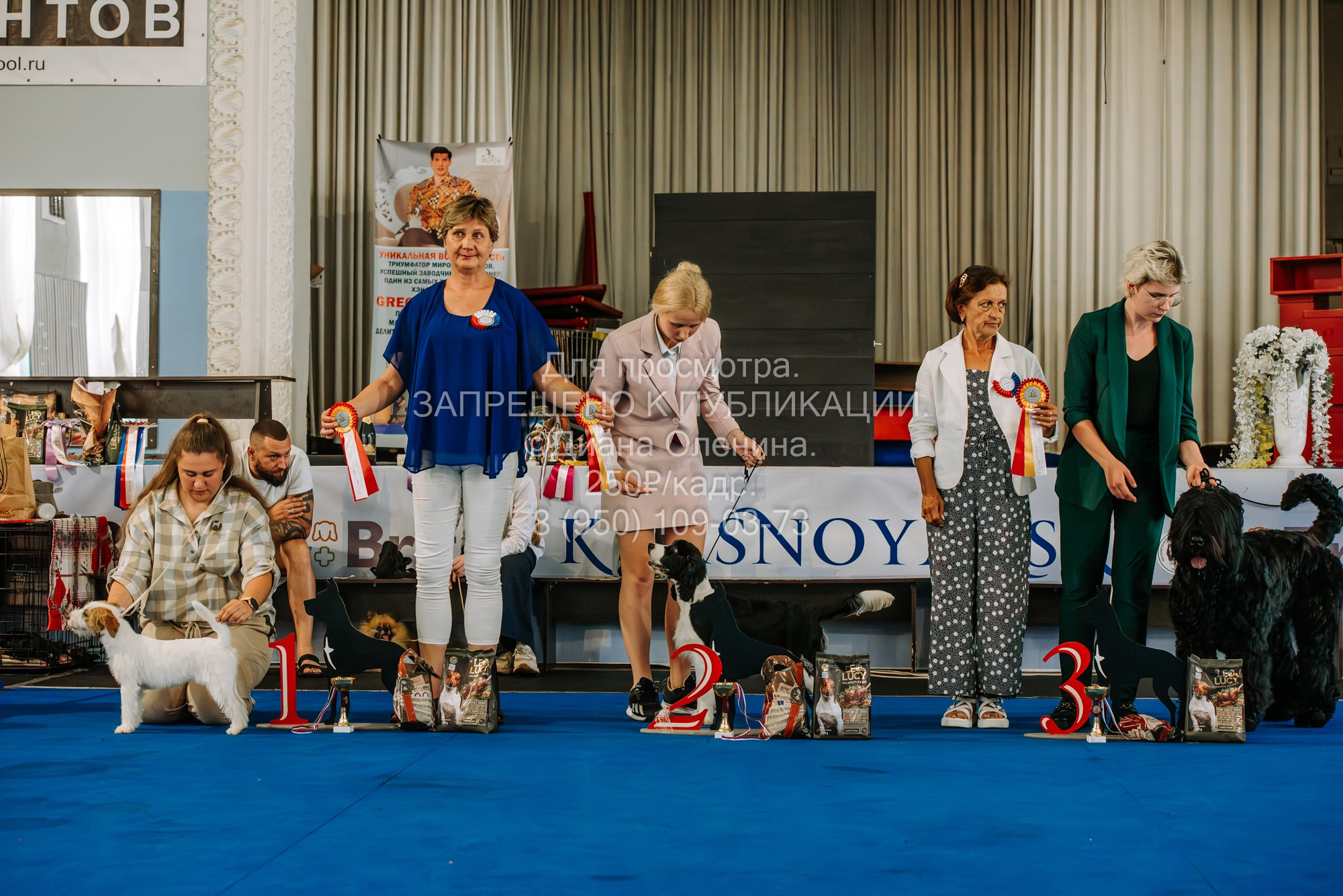 Национальная выставка собак всех пород ранга САС-IKU «Кубок Красноярск. Фотограф Диана Оленина Красноярск / Братск