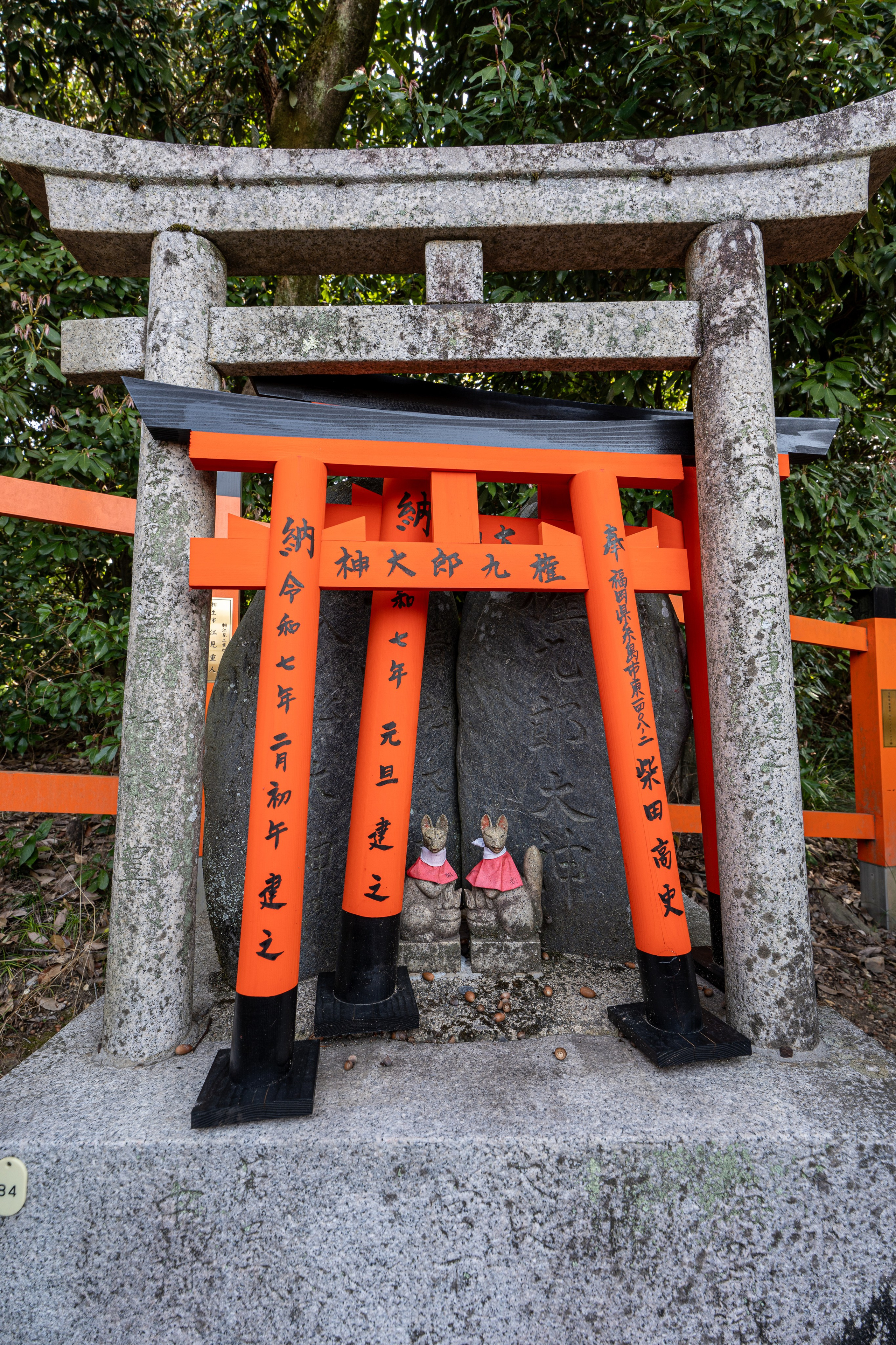 Япония, сакура. Творческие сьемки