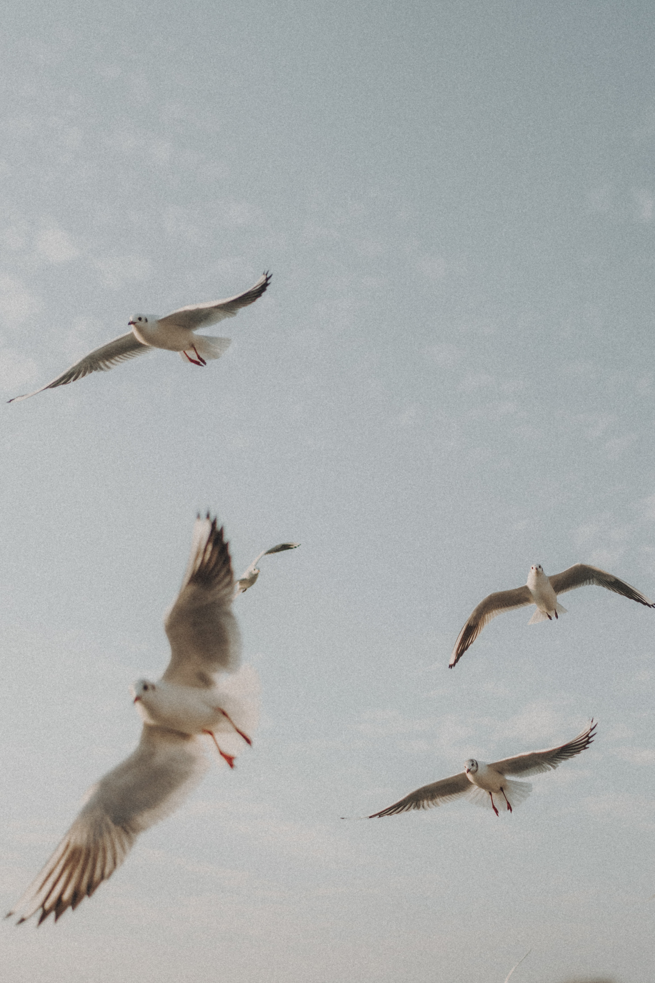 Фотограф Лазаревское Фотограф в Горячем Ключе фотограф Горячий Ключ фотограф Краснодар прогулочная фотосессия Горячий Ключ семейная фотосессия Горячий Ключ индивидуальная фотосессия Горячий Ключ фотосессия на природе Горячий Ключ живые фото без постановки Горячий Ключ фотограф в Краснодаре на природе фотосессия в горах Горячий Ключ фотосъемка для туристов Горячий Ключ фотограф в Лазаревском фотосессия на море Краснодарский край семейная фотосессия на море Лазаревское фотограф для детей Краснодар прогулочная фотосъемка без позирования фотограф для беременных Горячий Ключ фотосессия в лесу Краснодарский край лучшие локации для фотосессии Горячий Ключ фотосъемка эмоций без постановки атмосферная фотосессия на природе Краснодар