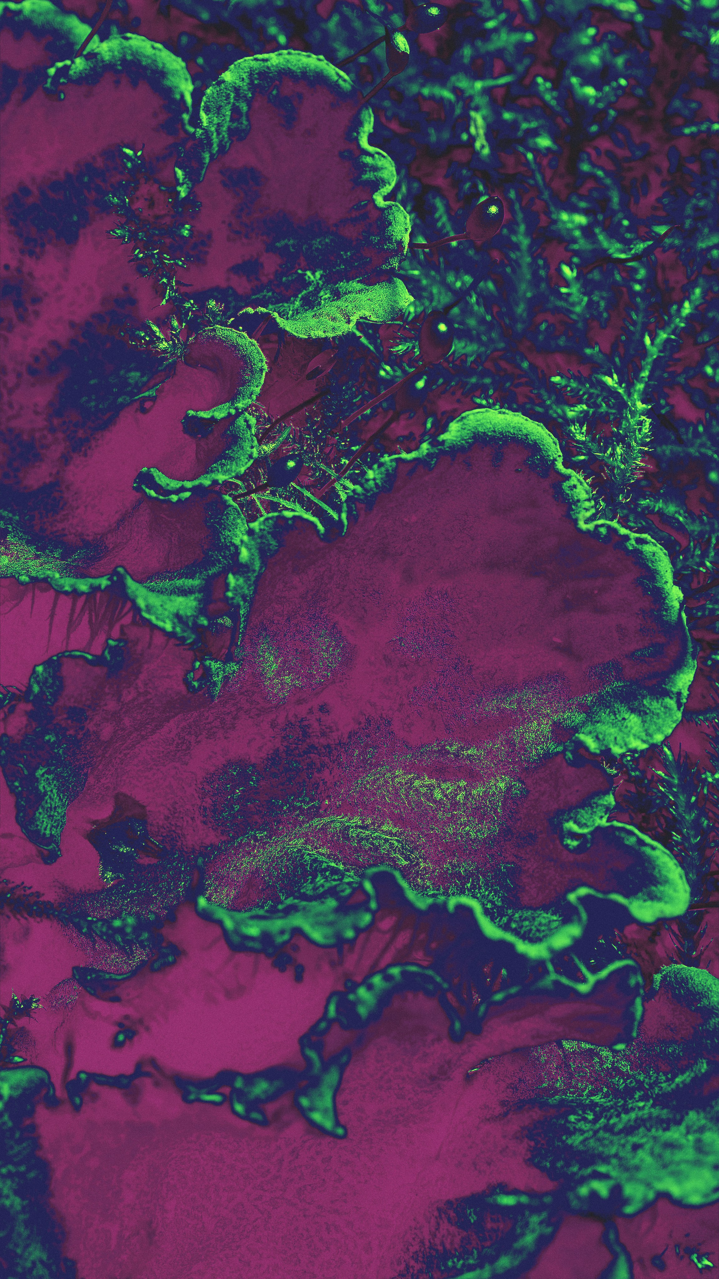 Сайт в процессе разработки