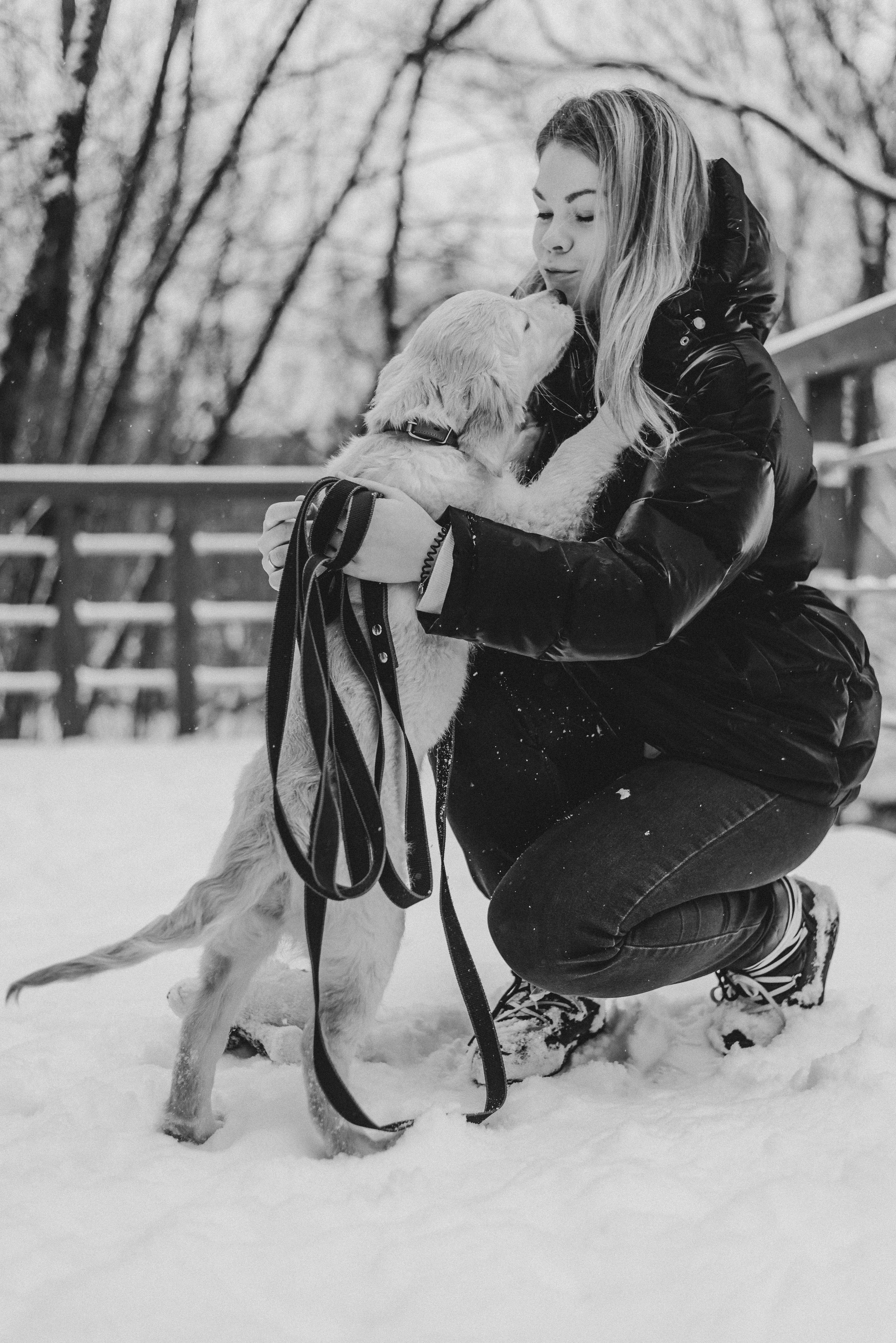 Sonia, Denis & Baggi. Natalia Finch Photography — Family, Kids & Pet Photographer in Chicago, IL