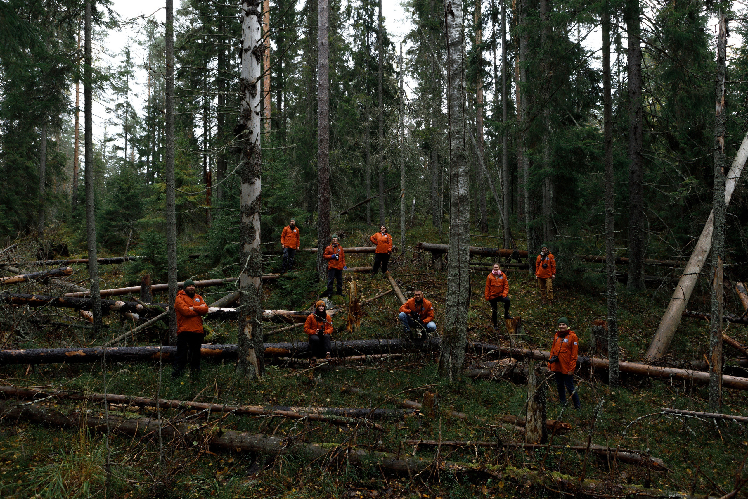 Photos for the Ladoga Skerries National Park. Commercial photographer | Anton Ermakov