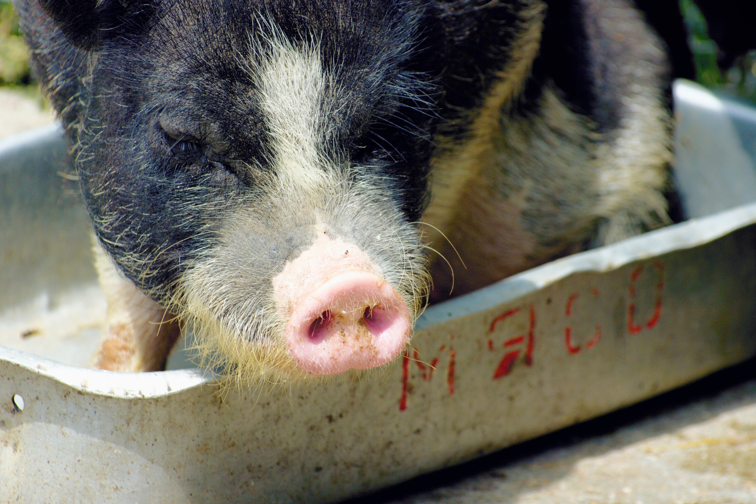 Истории. Фотограф Сергей Мосевнин