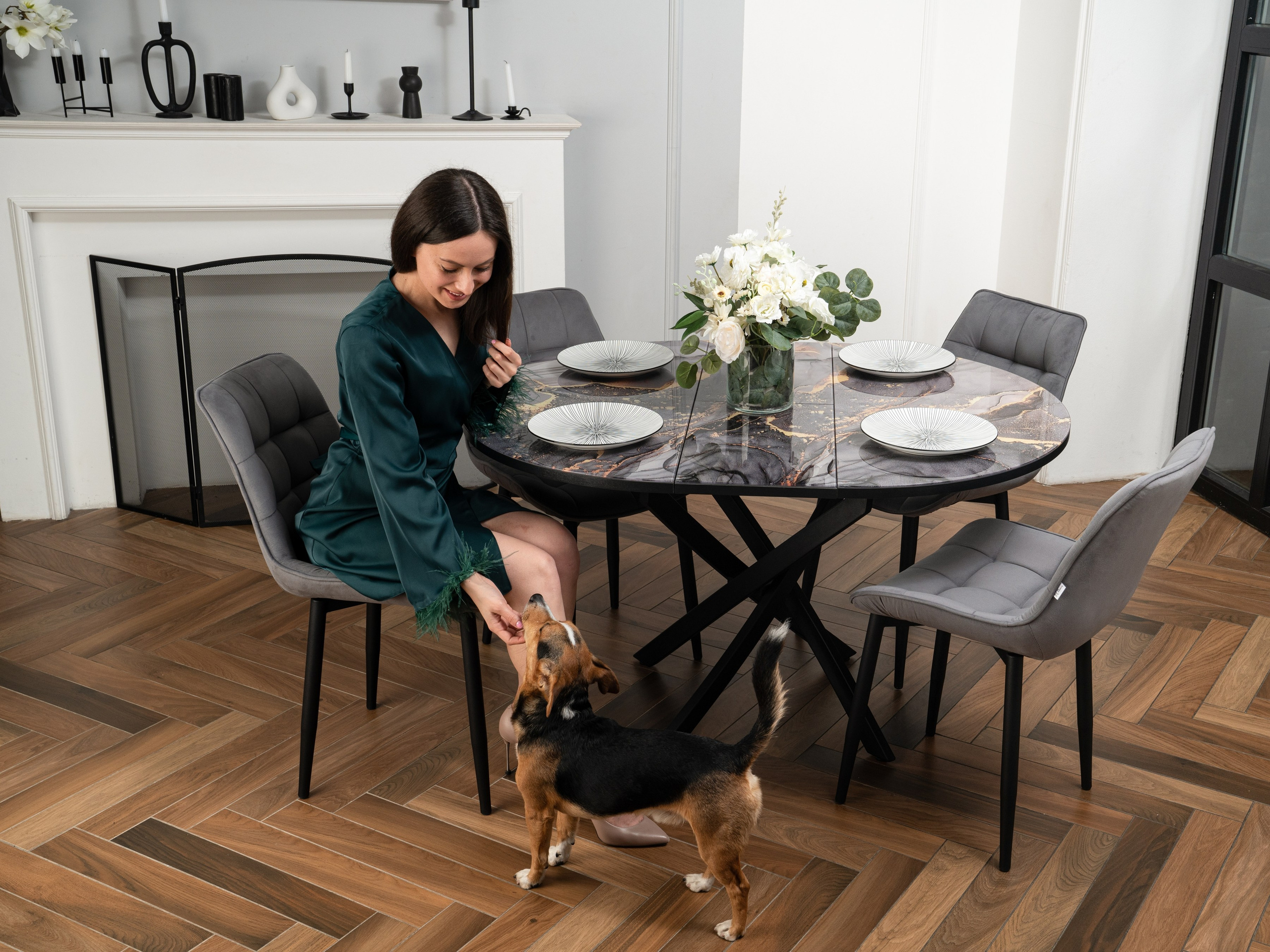 Съемки с животными. КЕД Студия-контент агентство полного цикла СПБ. Создаём фото, видео и контент, который помогает брендам и селлерам продавать больше