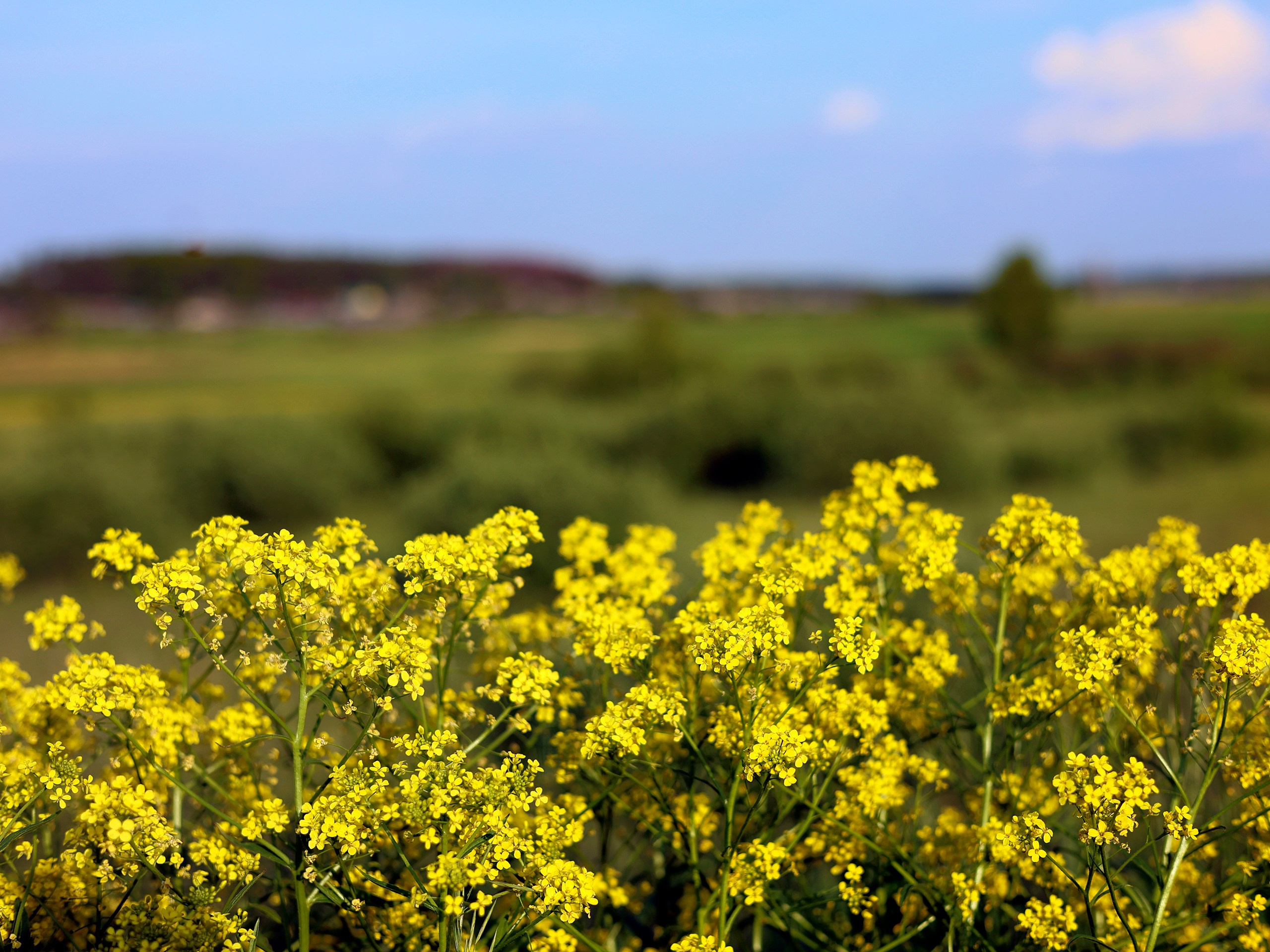 Фотограф | Видеограф в Кургане, Тюмени и Челябинске