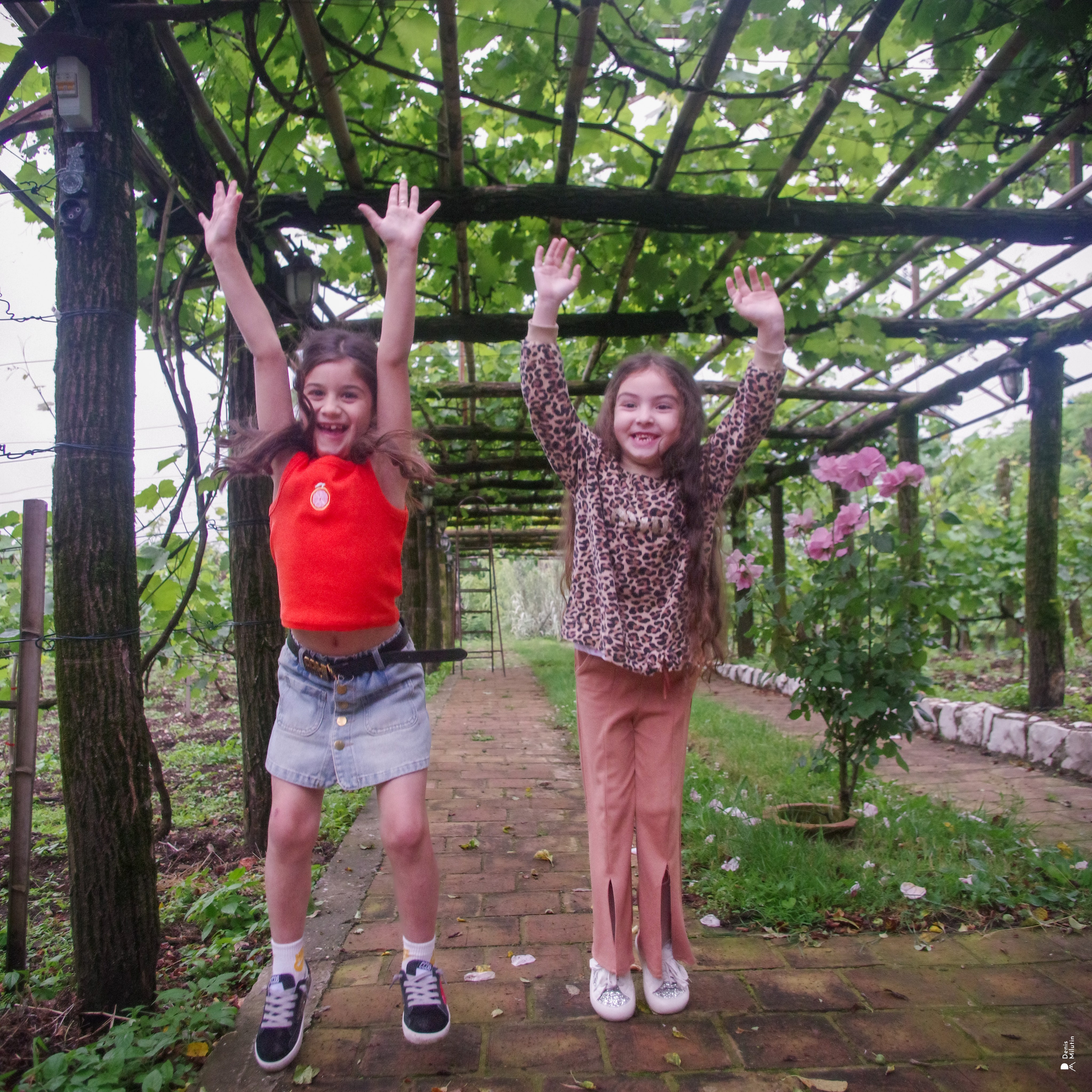 Хони. Портретный фотограф Денис Милютин