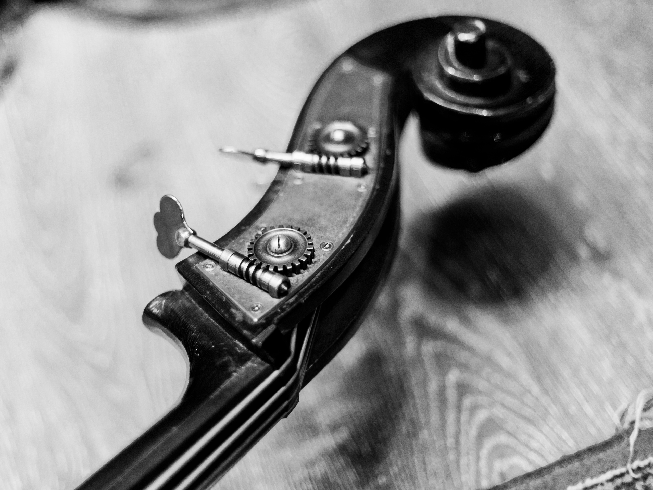 Фотосъемка концерта Дарьи Шорр в клубе Алексея Козлова. Репортажный фотограф Борис Геер