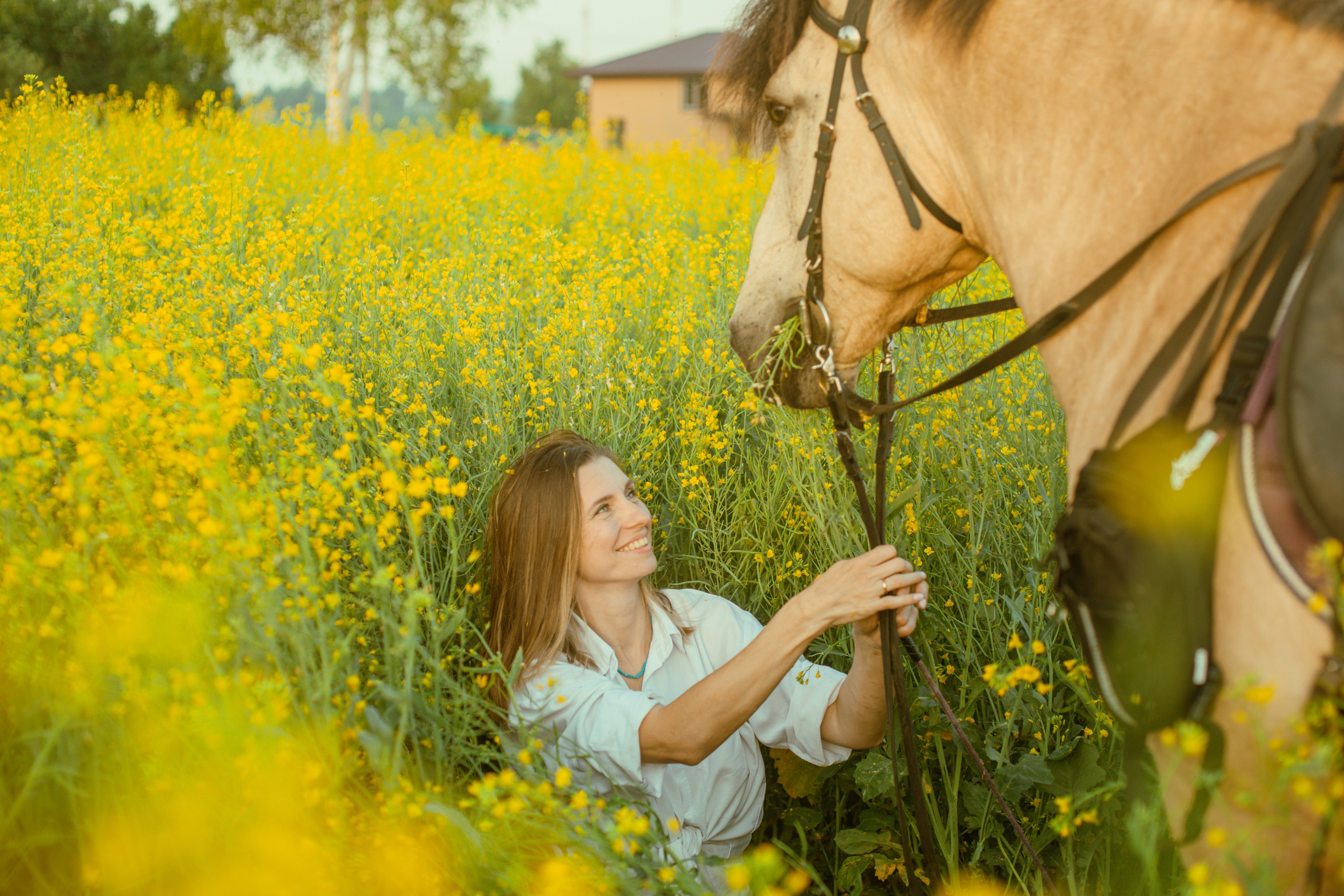 Выйти в лето в поле с конем. Видеограф и фотограф в Москве Анастасия Рябчикова