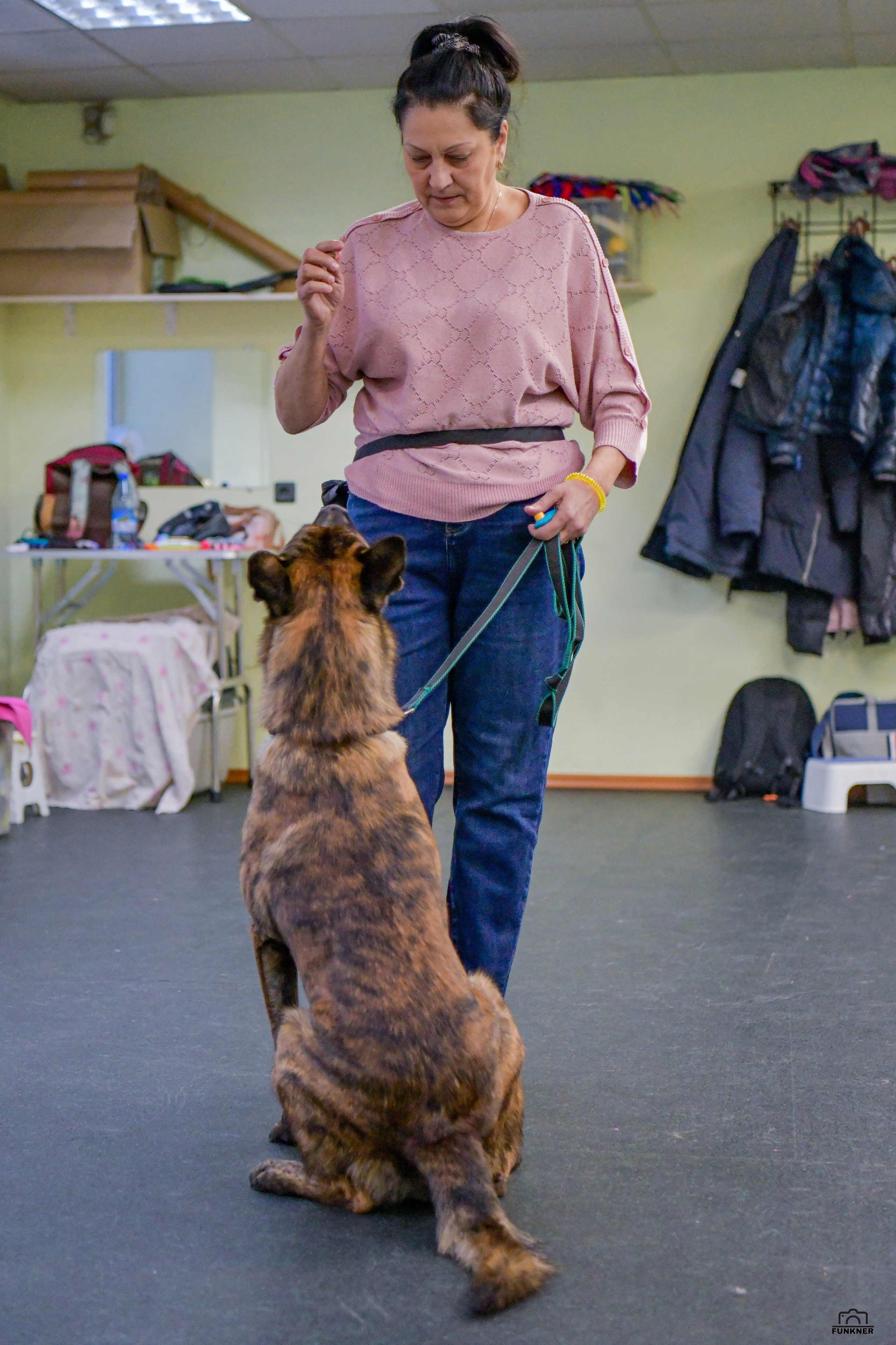 Кинологический клуб «Бодрый хвост». Свой взгляд через объектив