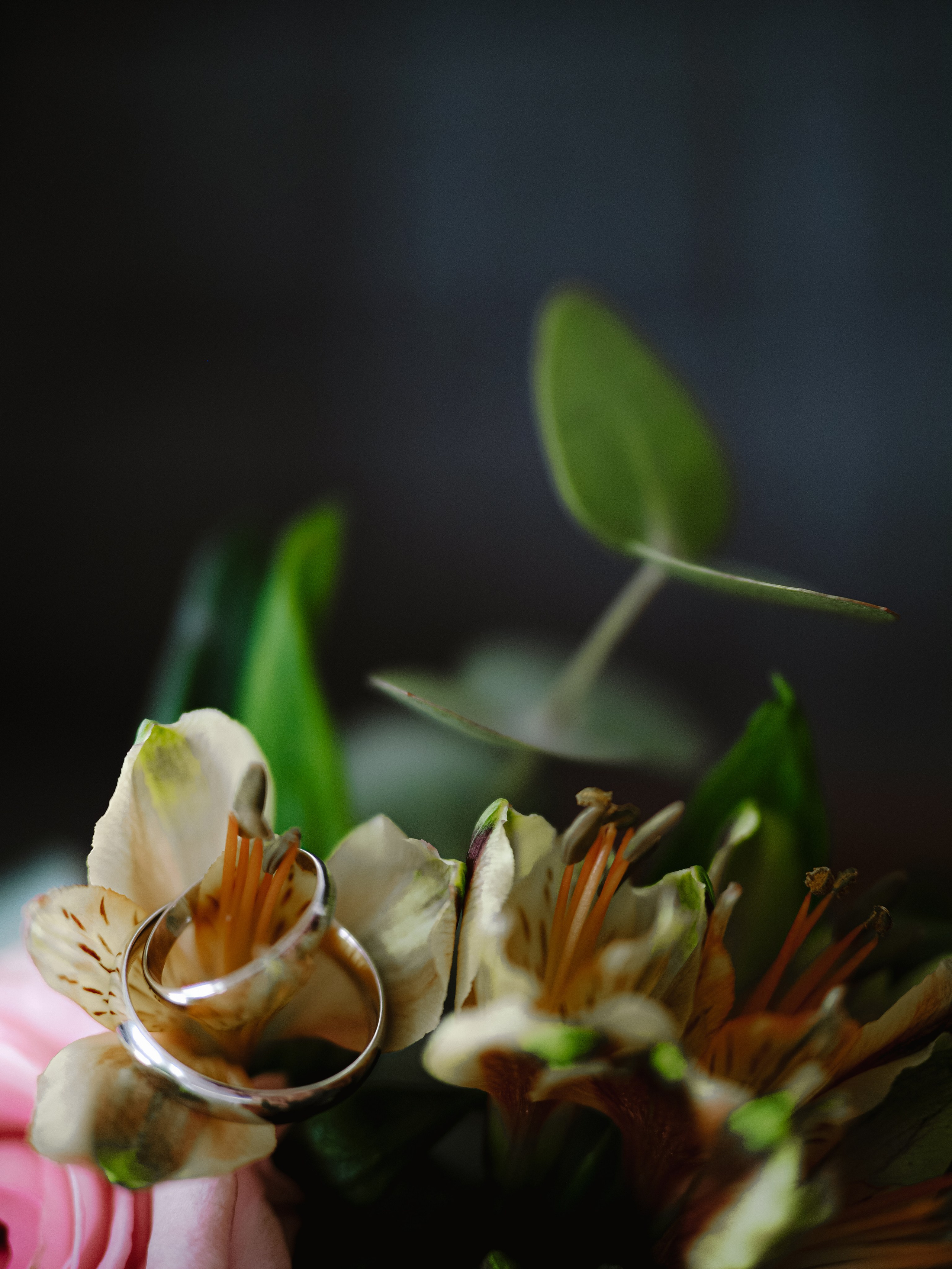 Карина и Илья. Фотограф Рязань. Семейный Свадебный фотограф