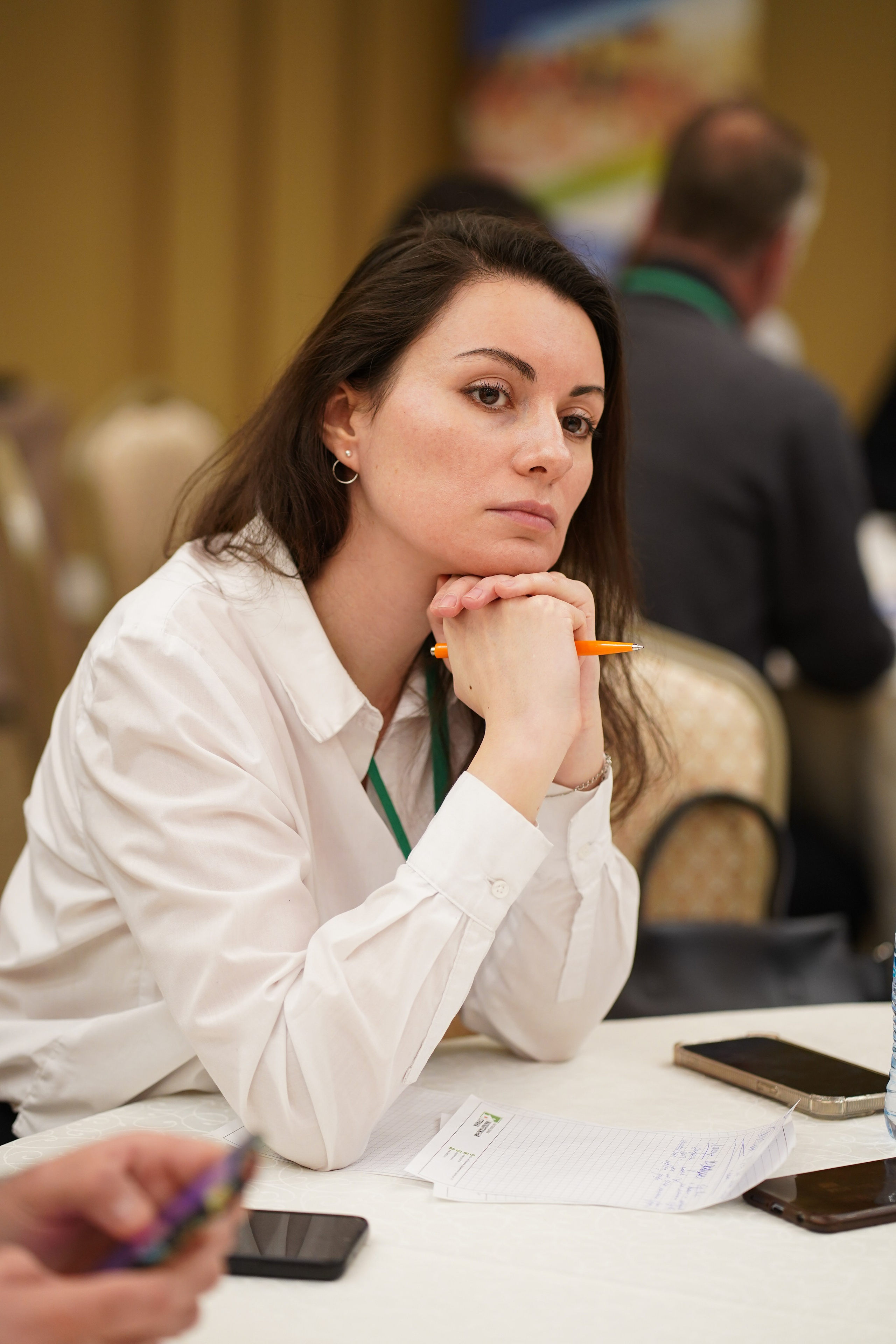 Малоэтажная страна конференция. Фотограф