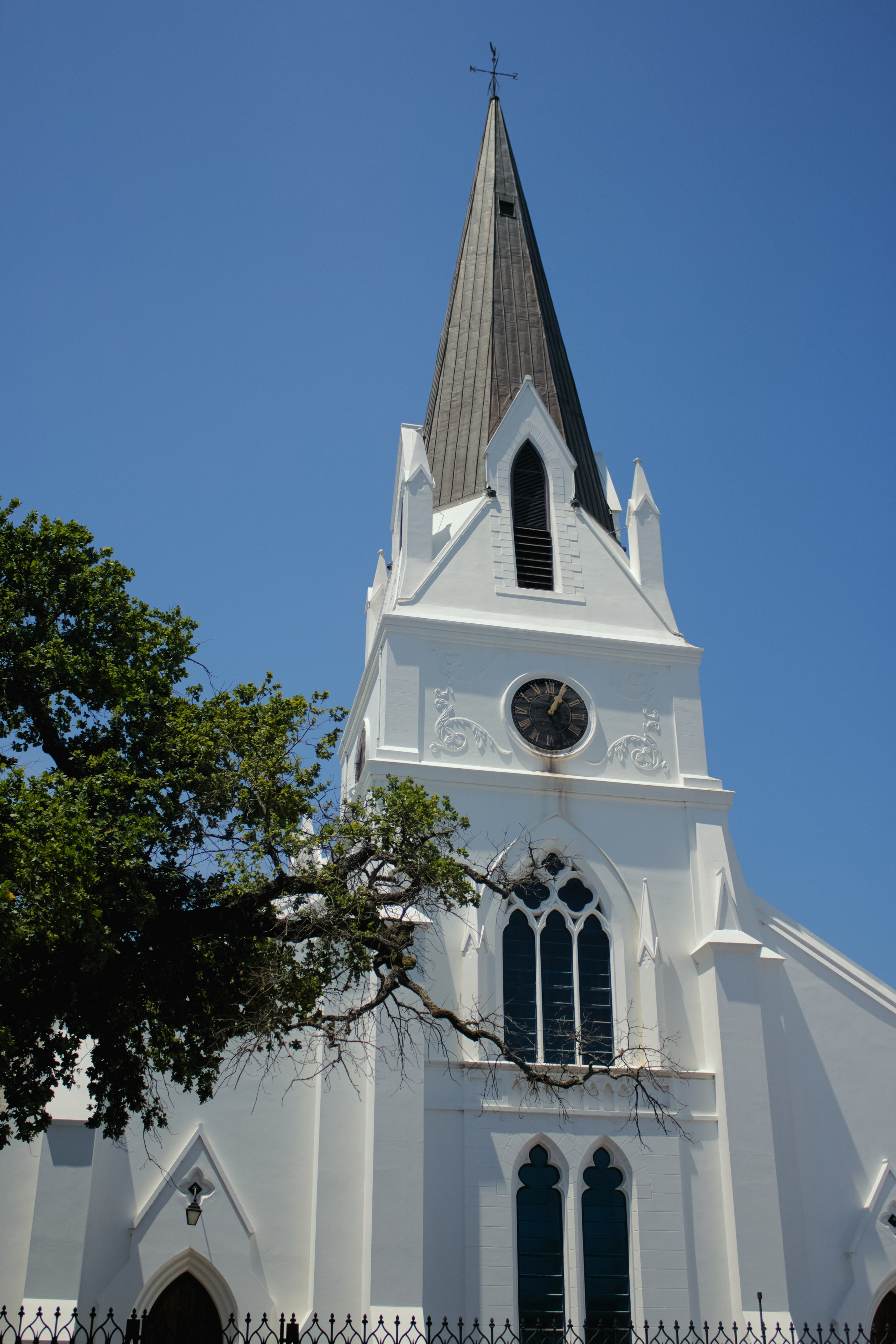 ЮАР. Профессиональный Фотограф во Владимире, в Москве и в Суздале — Полина Романычева