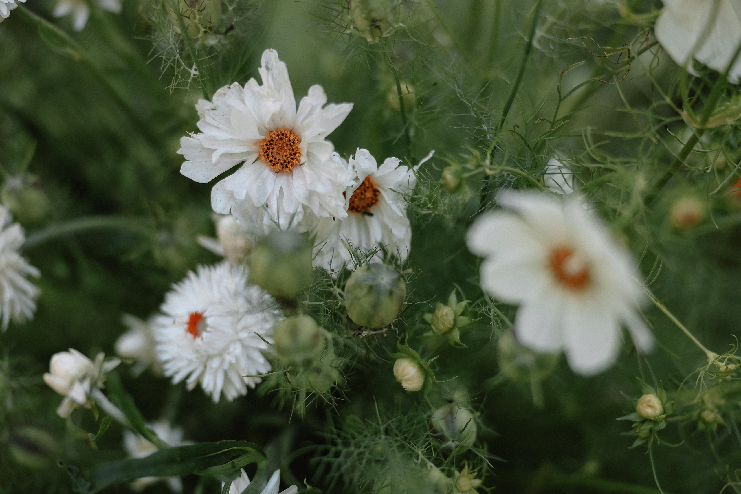 Средиземное море… Атлантический океан. Свадебный и семейный Фотограф Денис Кошель
