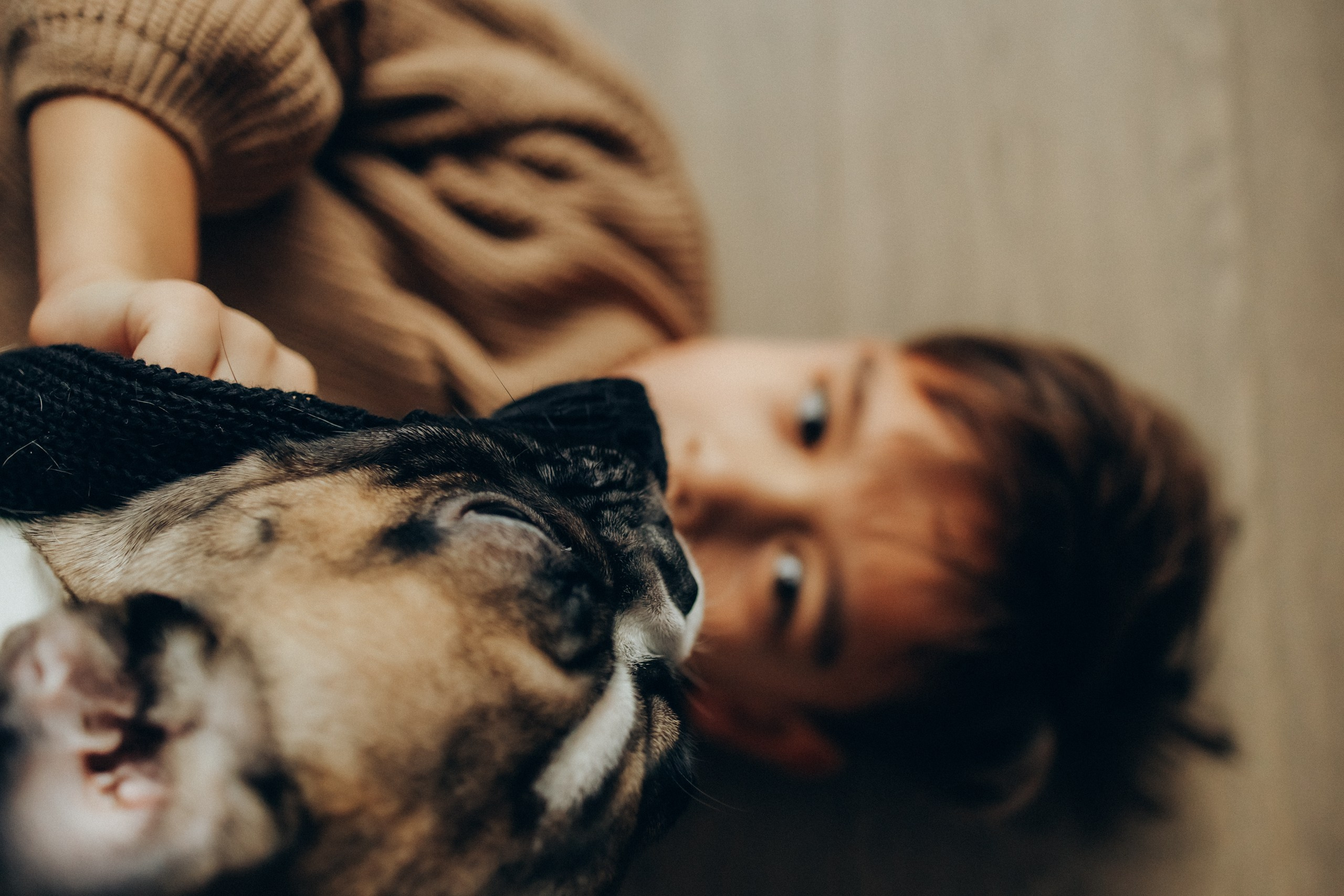 Руслан, Тимур и Луна. Семейный фотограф Москва