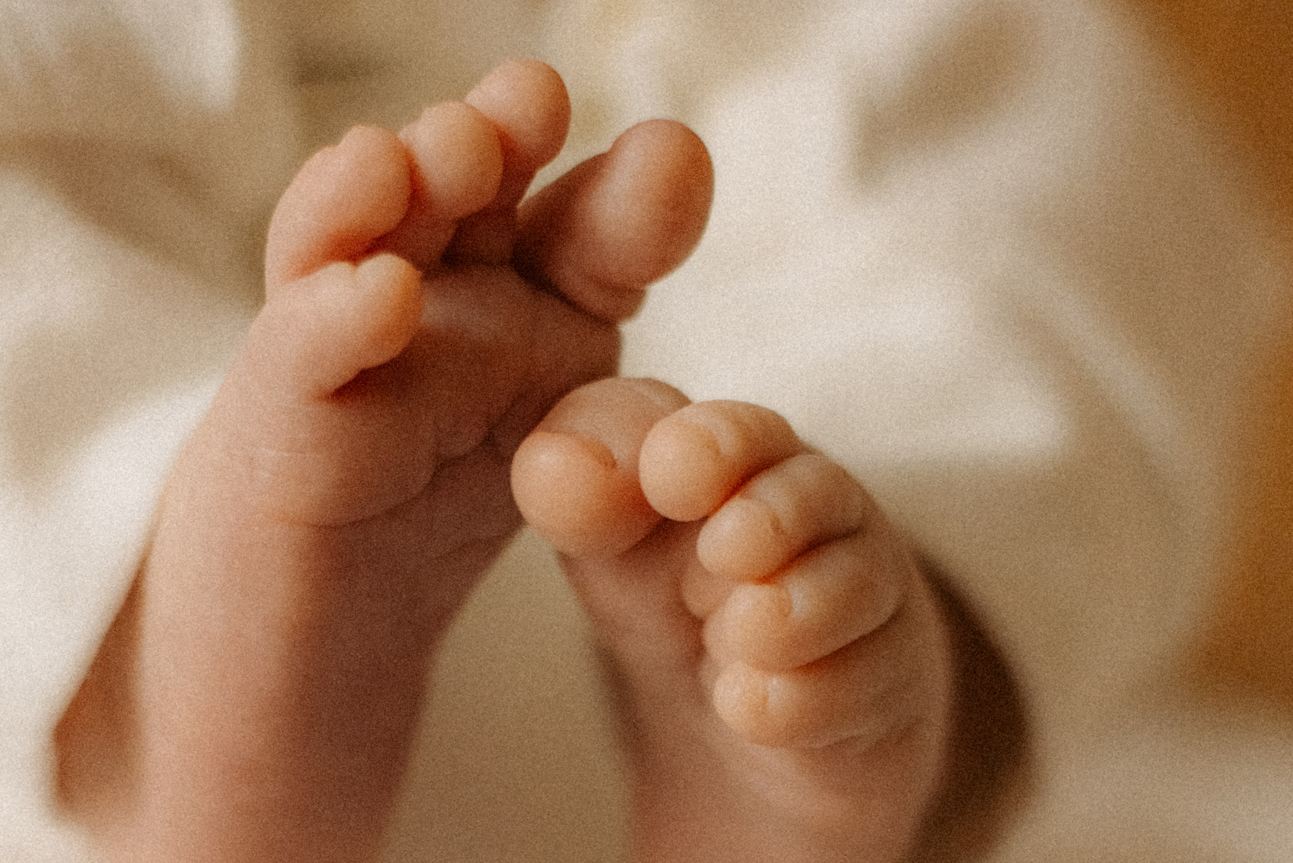 Ваня. Семейный фотограф Виктория Потехина Москва