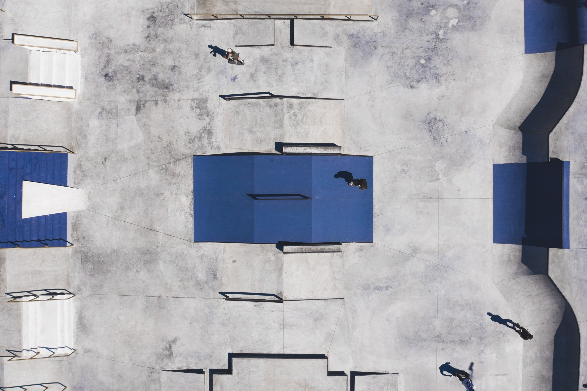 Action / Highlights. Bivol images