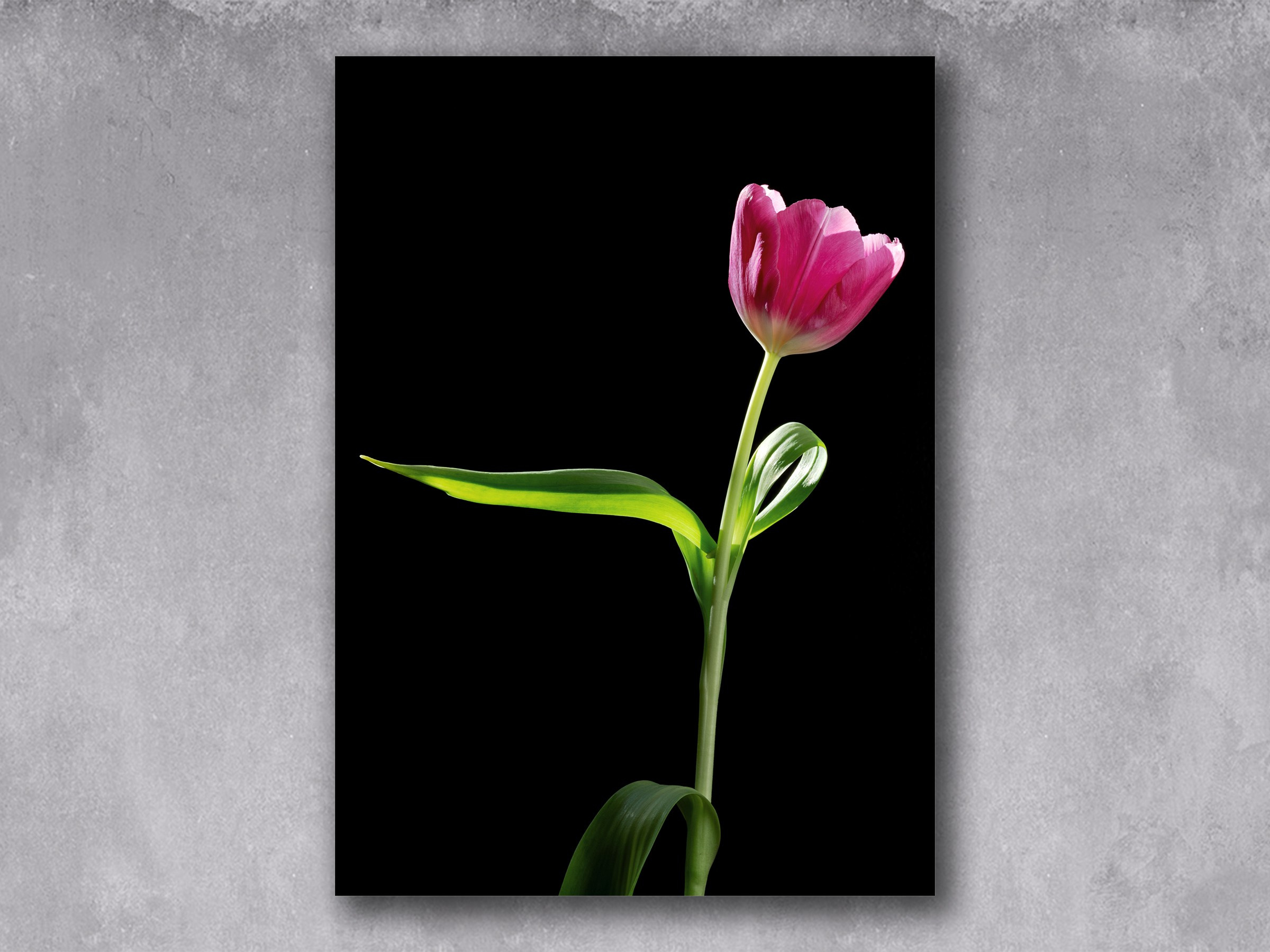 Ballerina. Author’s fine art prints with international delivery