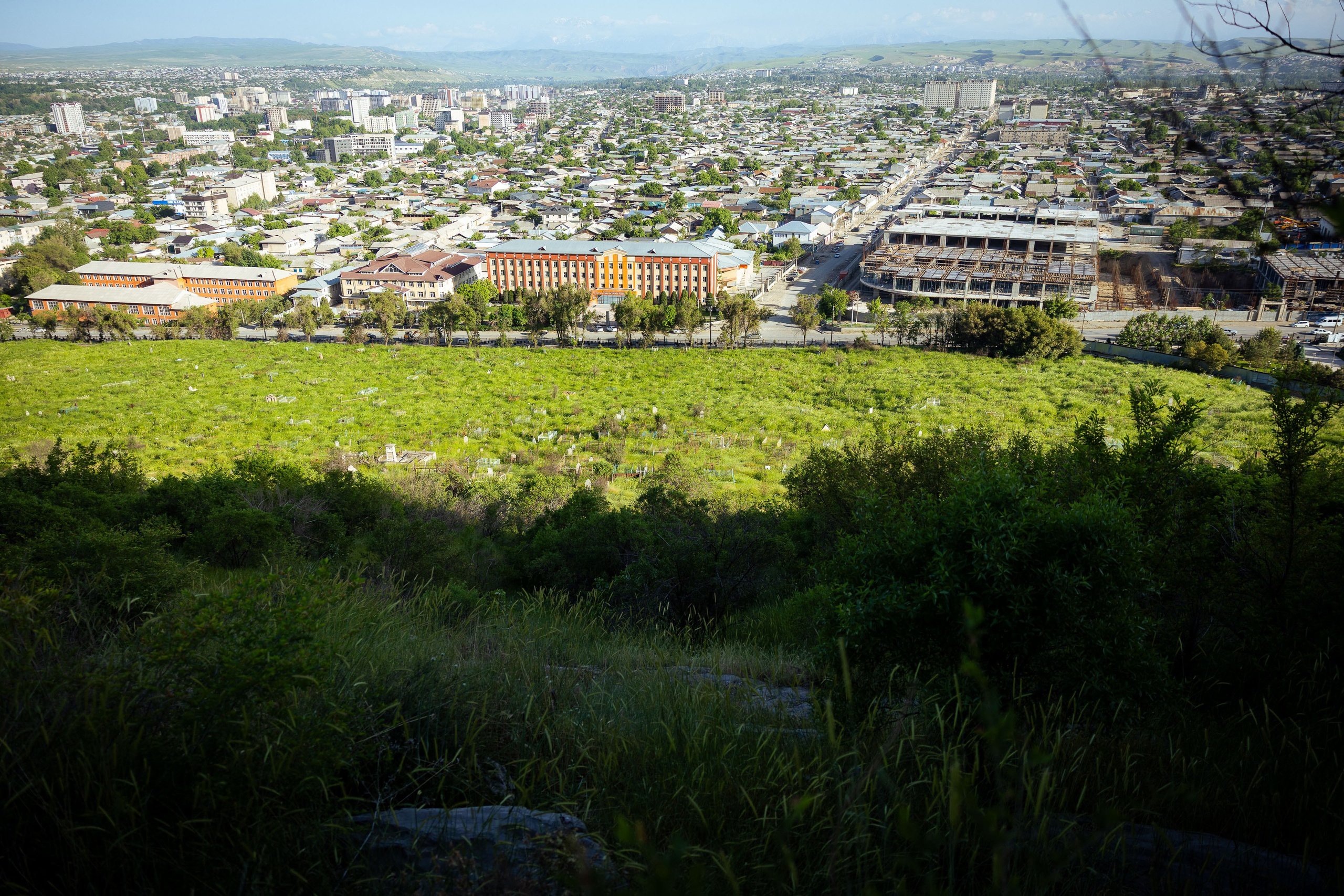 Кыргызстан (весна 2025). Фотограф Виноградов Константин