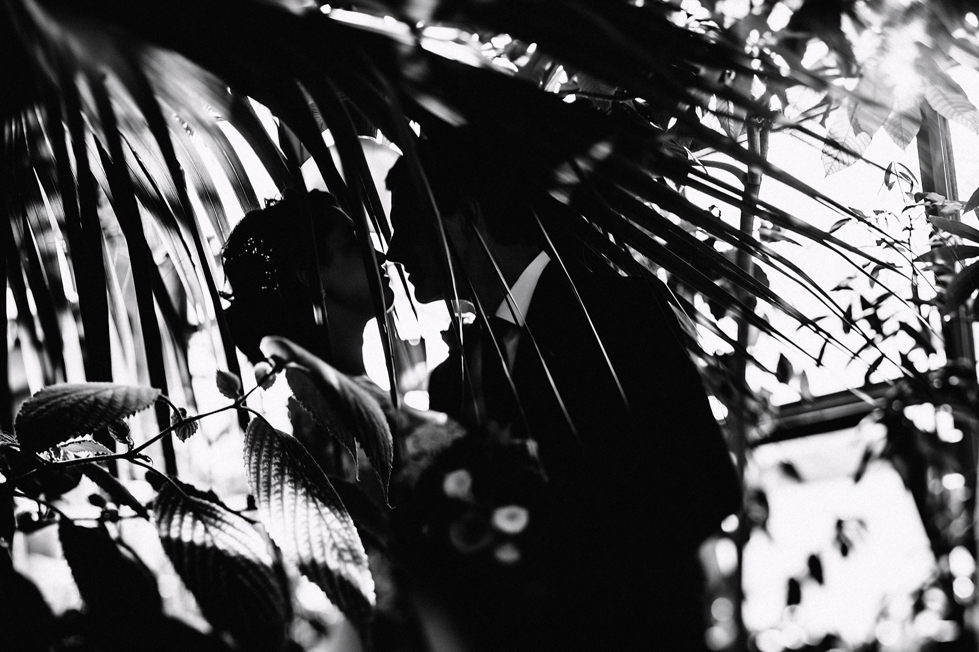 Вика+Саша. Свадебный и репортажный фотограф Александр Родин