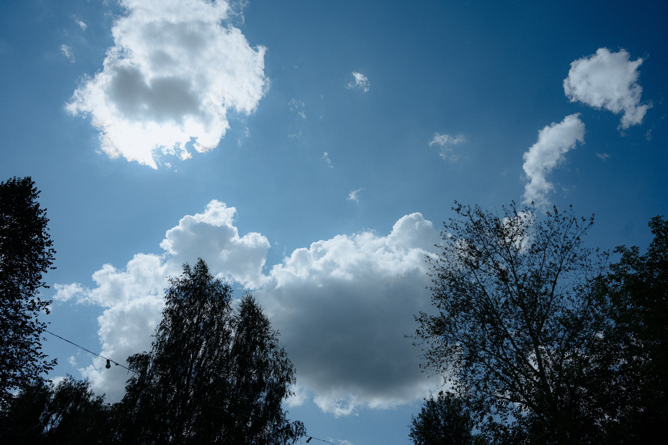 Роман+Лиза. Свадебный и репортажный фотограф Александр Родин