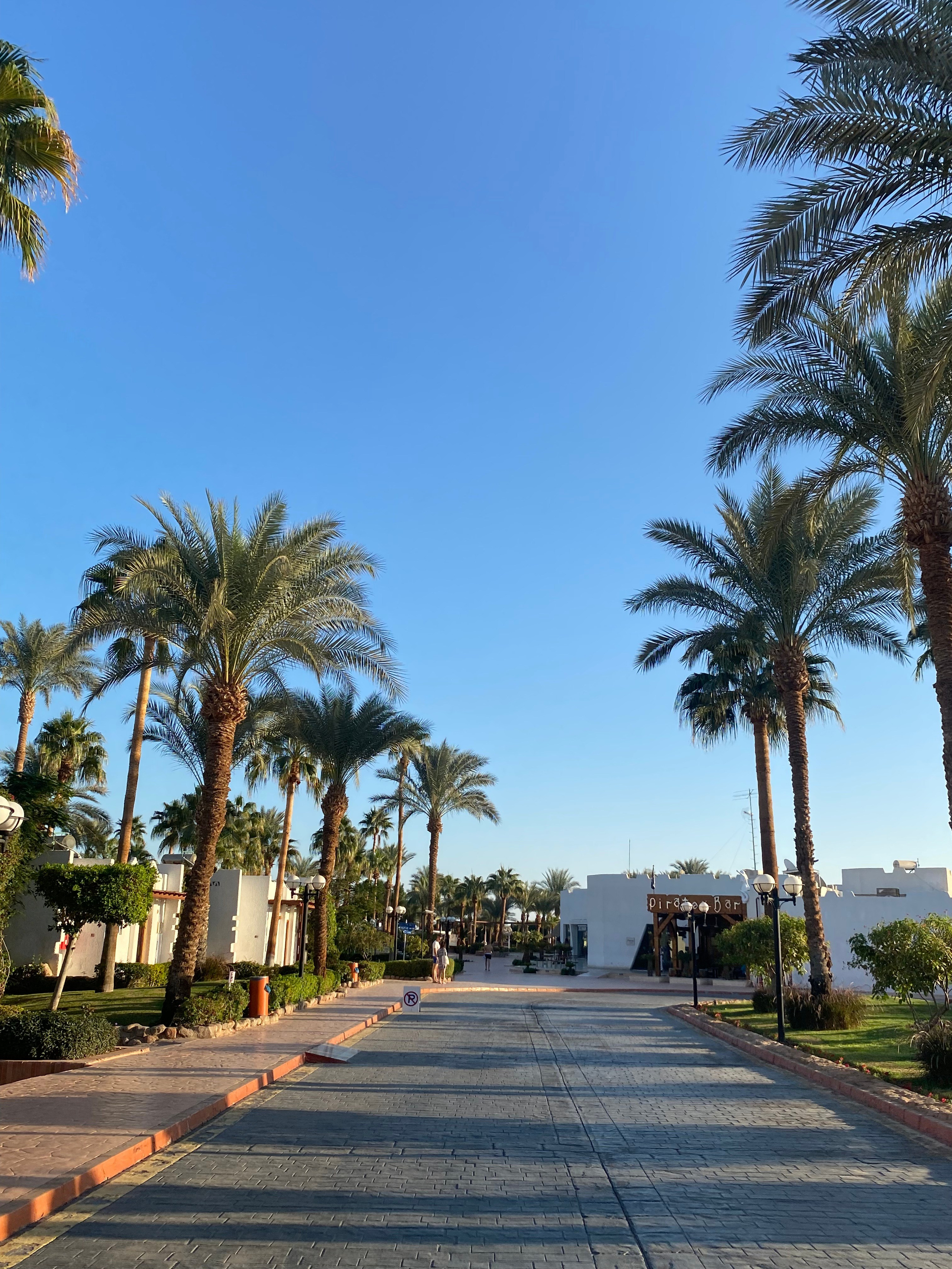 Египет — 21. Своя Мастерская